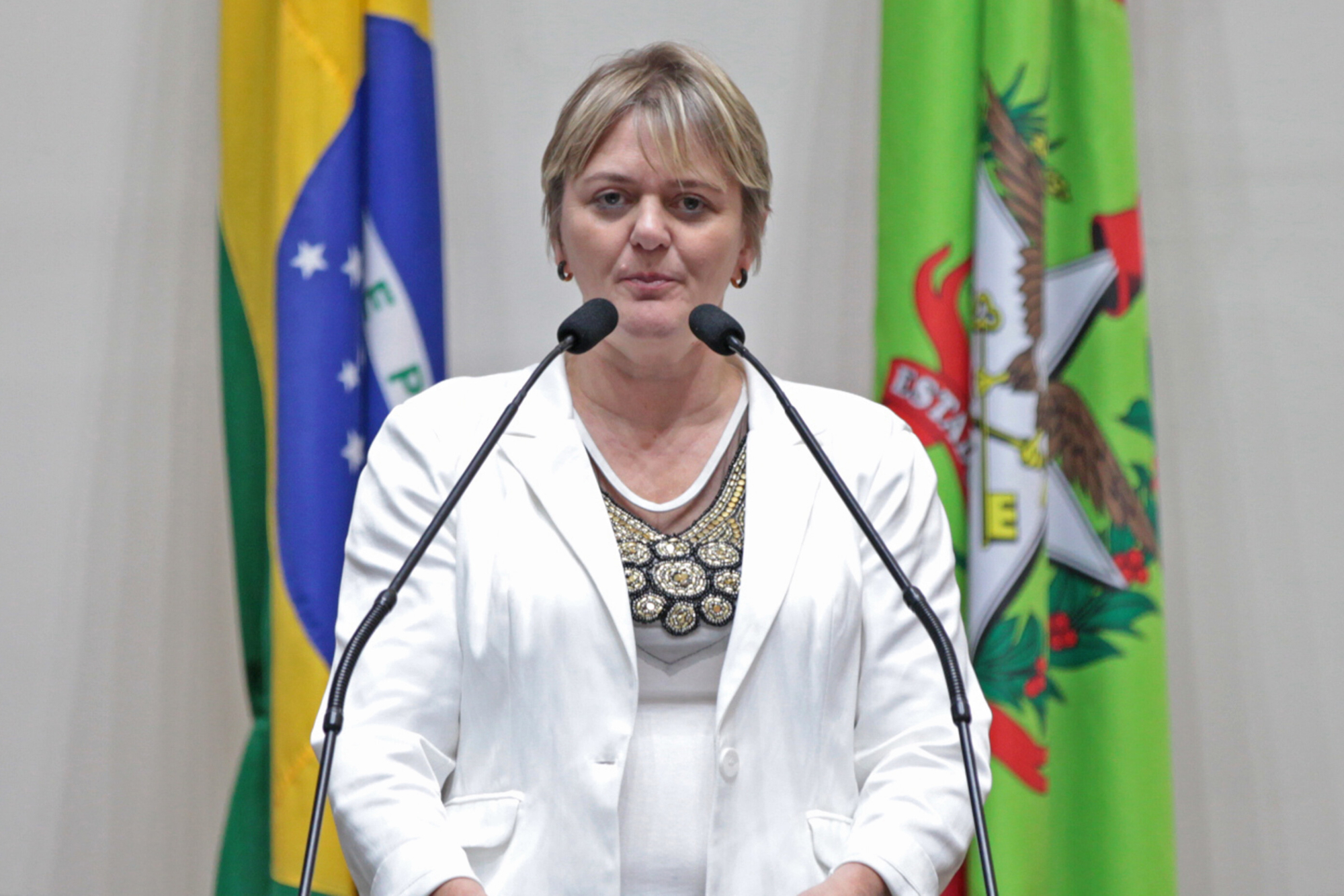 Luciane defende reivindicações dos trabalhadores da educação