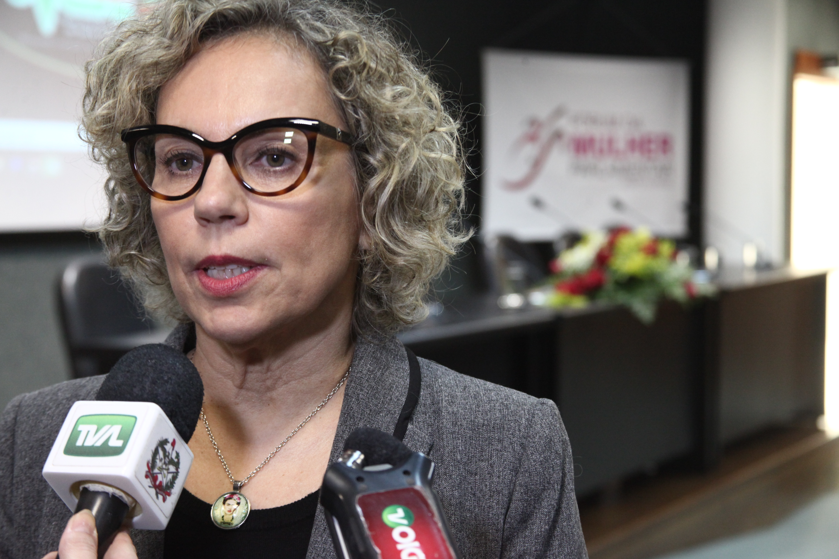 Deputada Ana Paula Lima (PT)