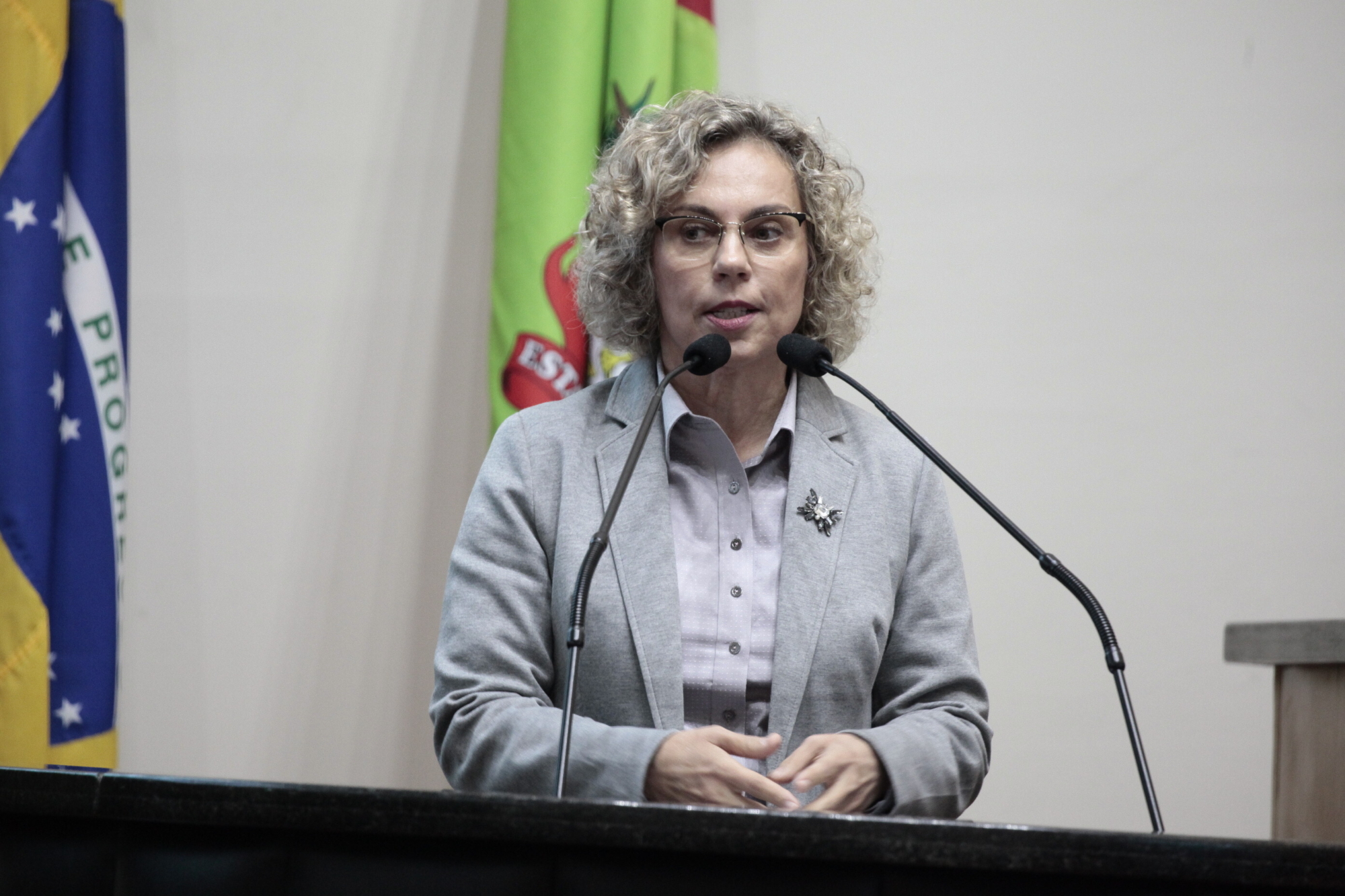 Deputada Ana Paula Lima (PT)