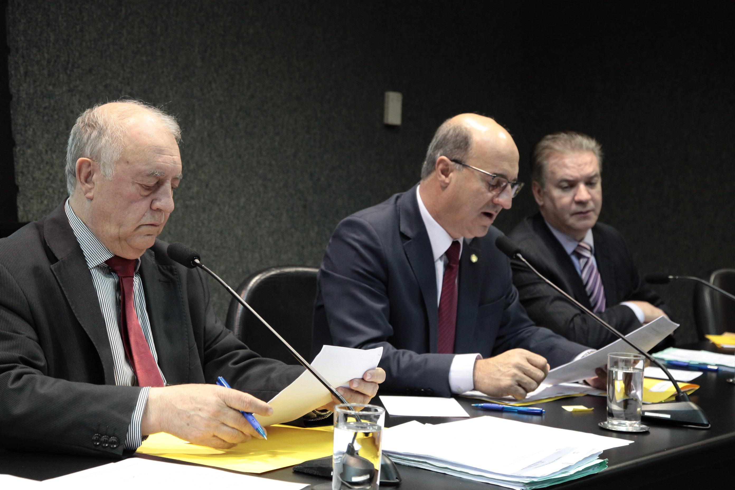 Comissão de Agricultura e Politíca Rural