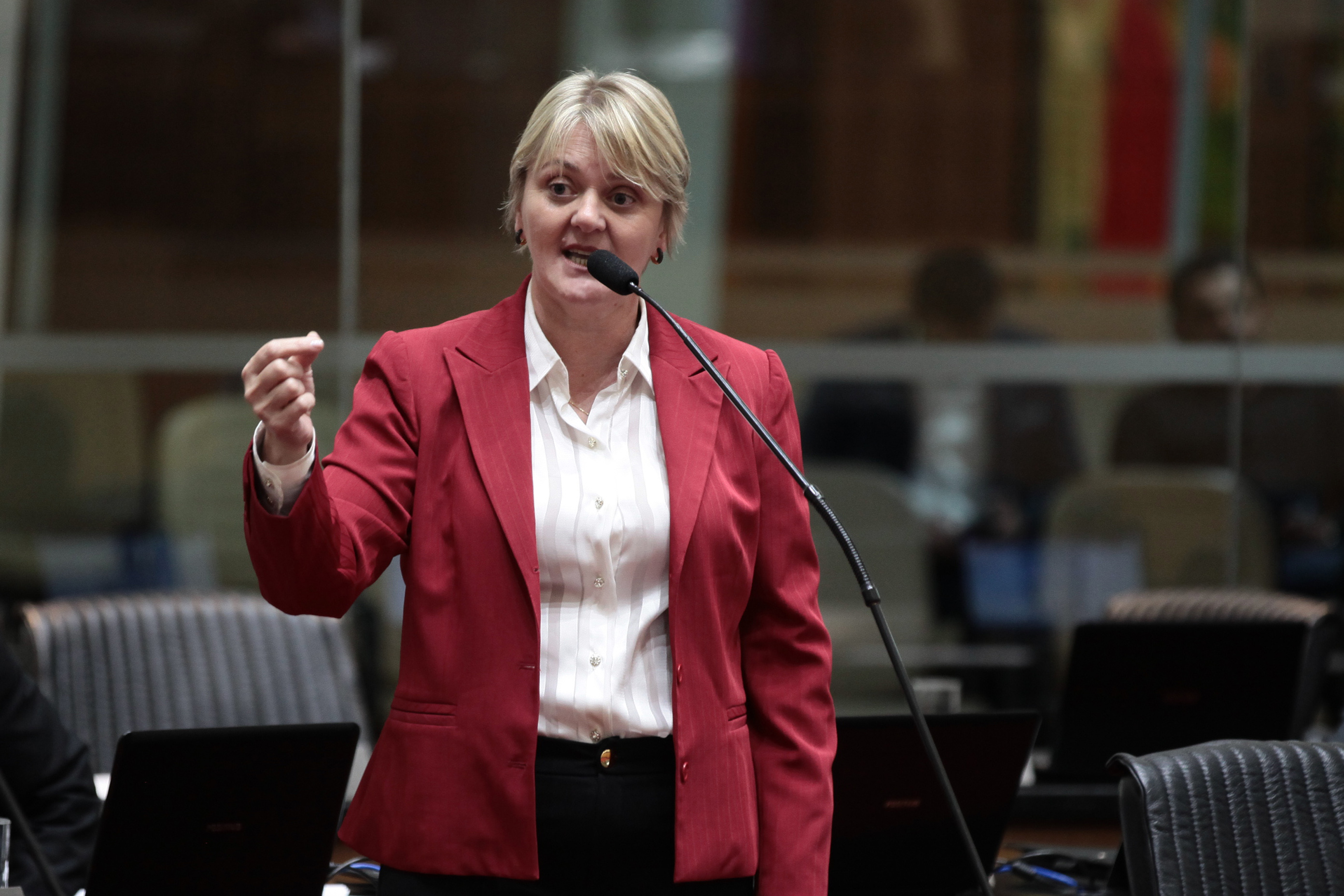 Sessão Ordinária. Deputada Luciane Carminatti (PT)