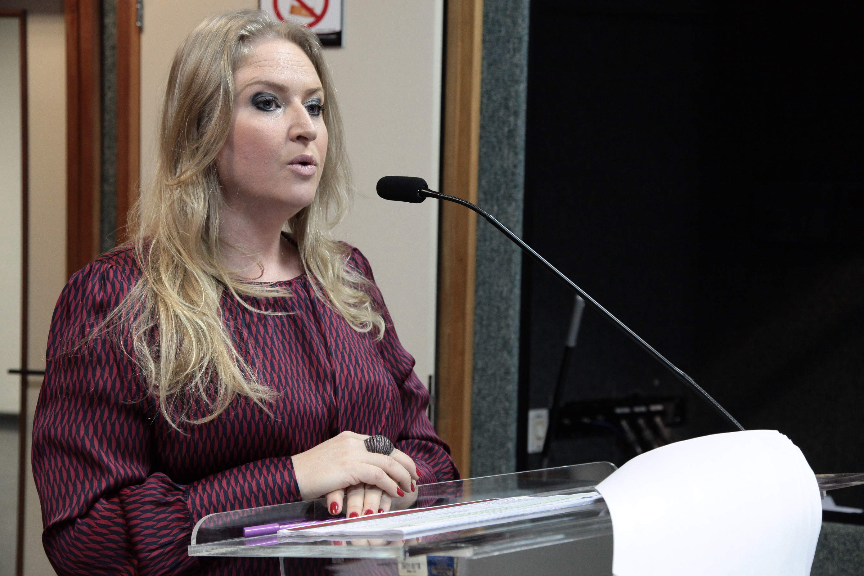 Grace Ella Berenhauser Superintendente de Planejamento e Gestão da SES