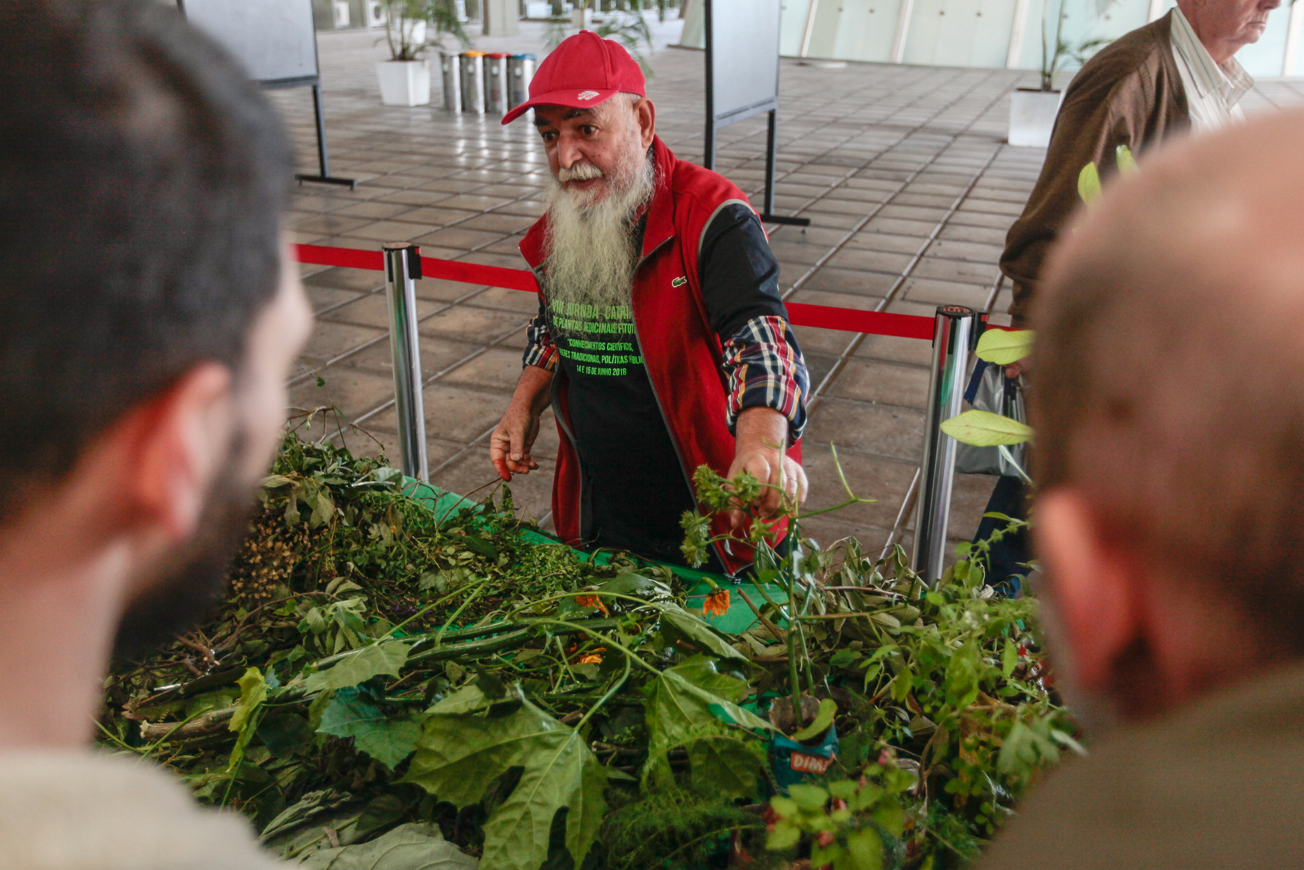8ª Jornada Catarinense de Plantas Medicinais e Fitoterapia. Alesio dos Passos Santos.