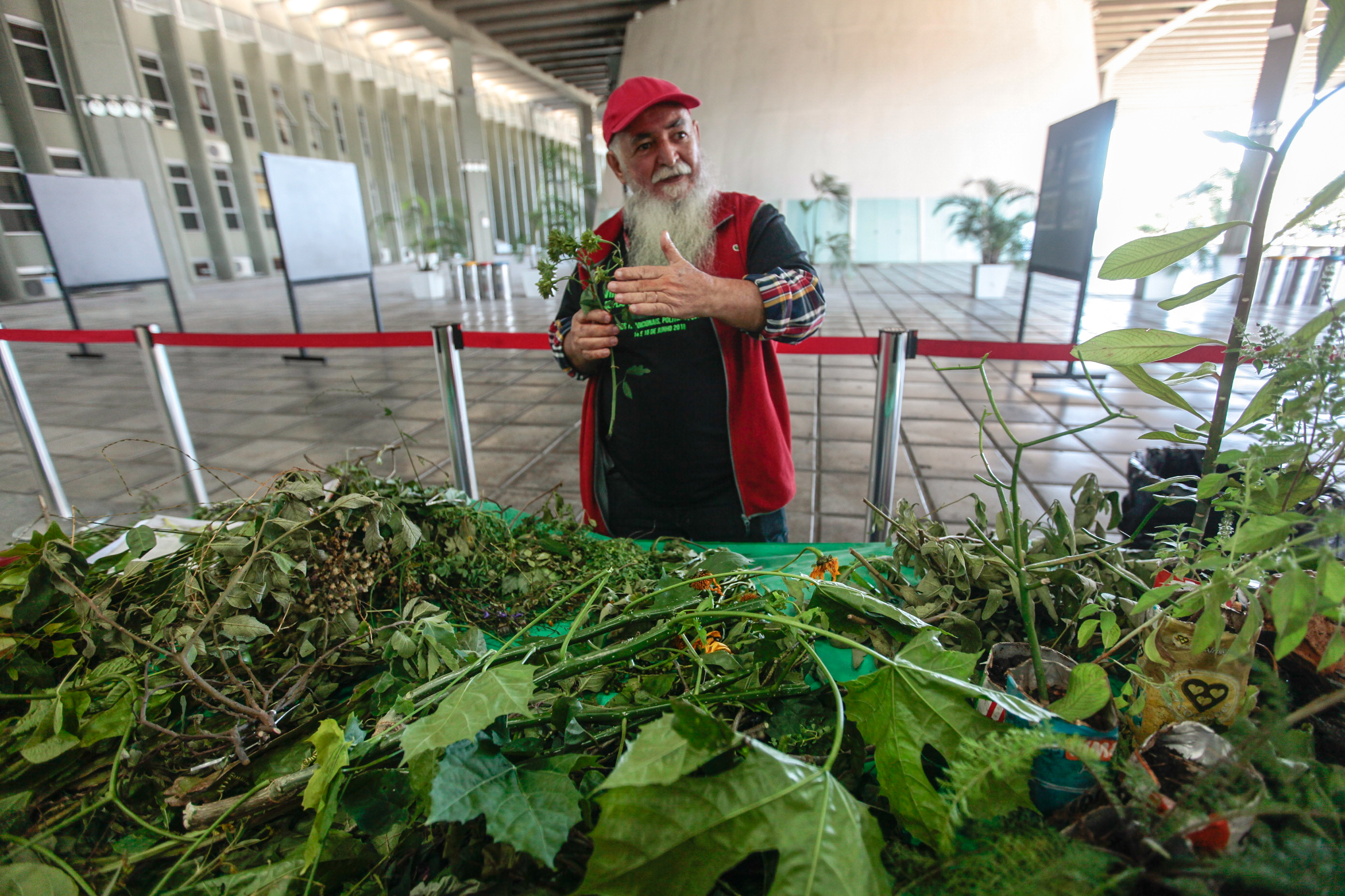 8ª Jornada Catarinense de Plantas Medicinais e Fitoterapia. Alesio dos Passos Santos.