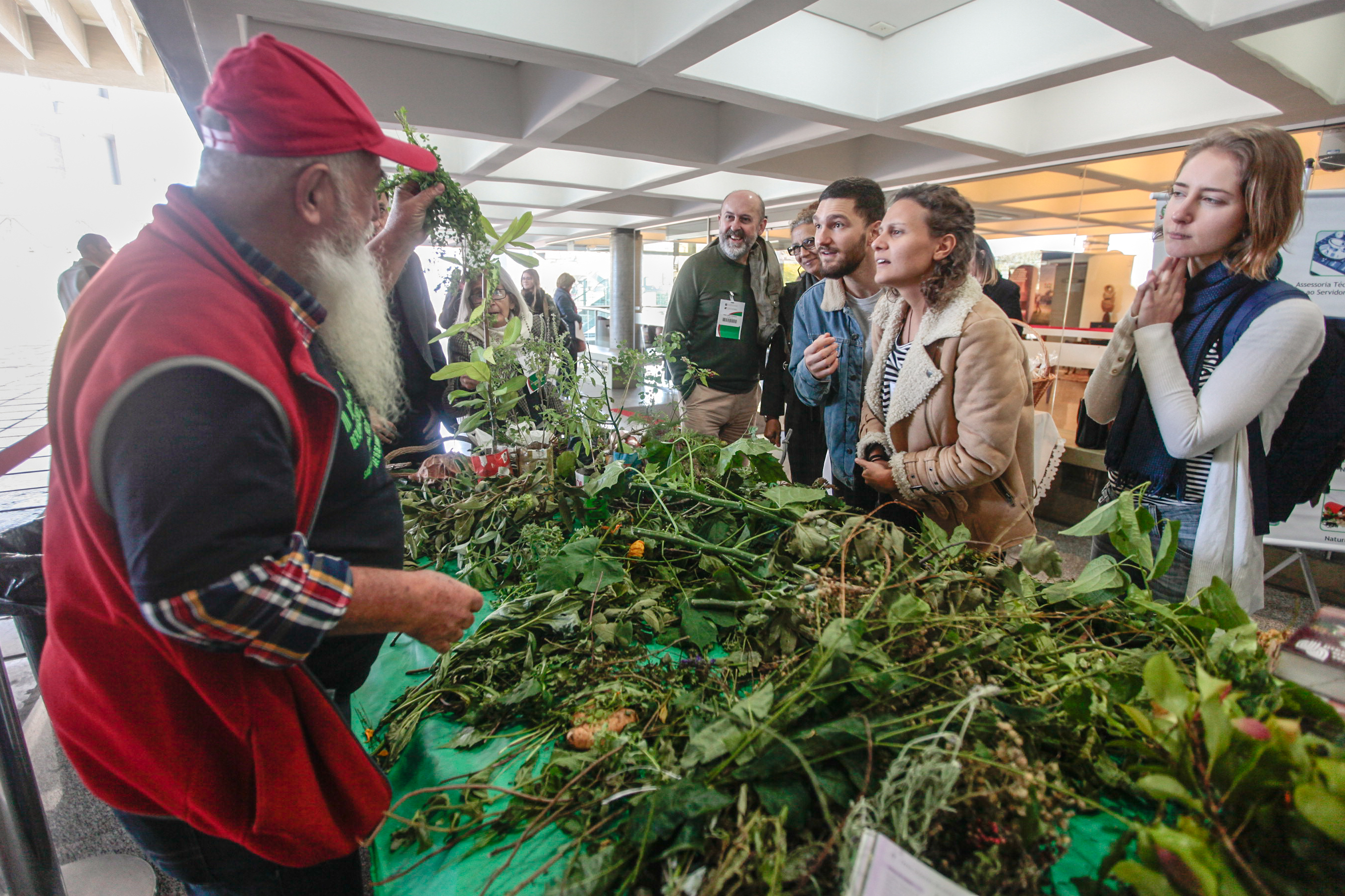 8ª Jornada Catarinense de Plantas Medicinais e Fitoterapia.
