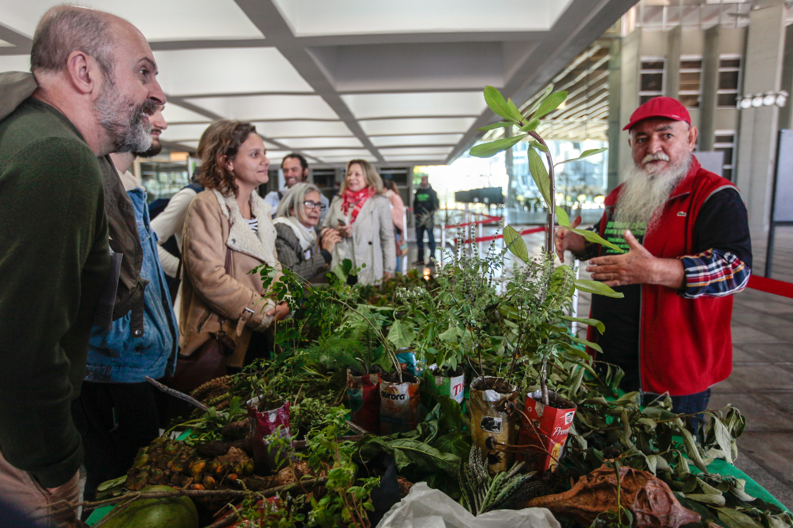8ª Jornada Catarinense de Plantas Medicinais e Fitoterapia.