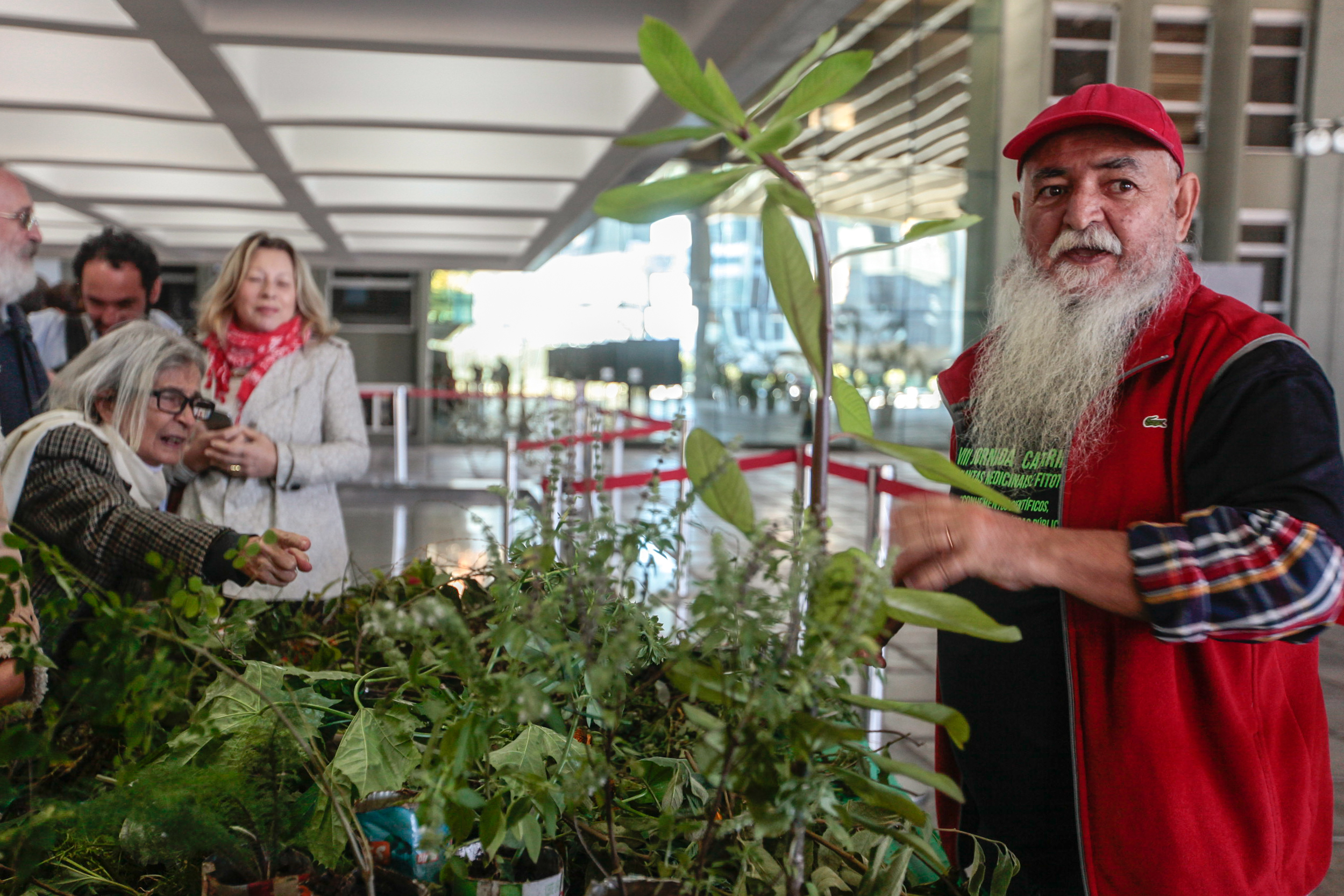 8ª Jornada Catarinense de Plantas Medicinais e Fitoterapia.