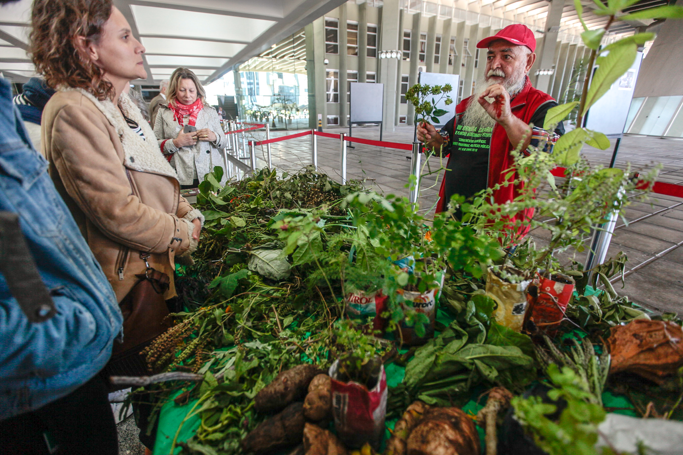 8ª Jornada Catarinense de Plantas Medicinais e Fitoterapia