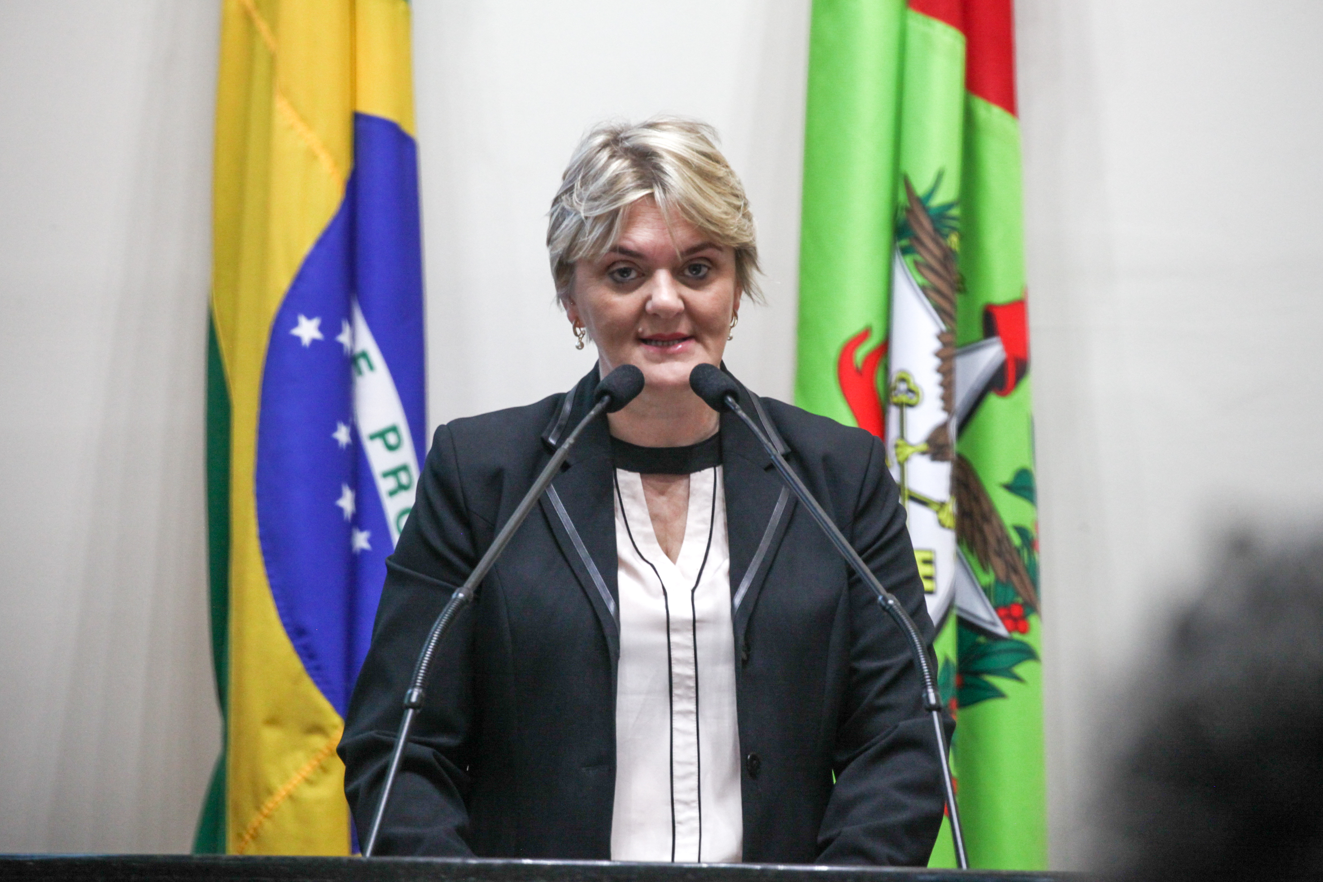 Deputada Luciane Carminatti (PT). Sessão Ordinária.