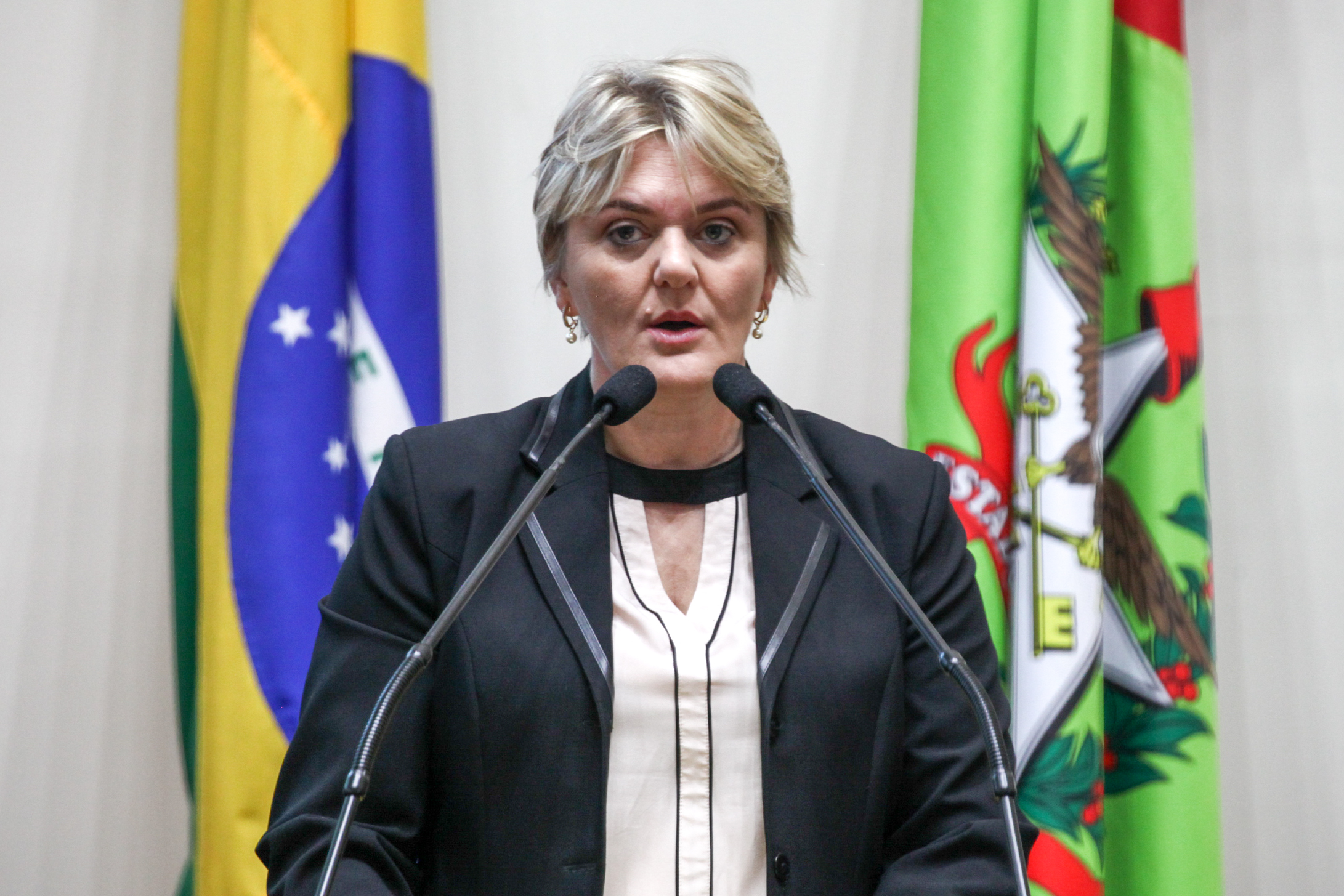 Deputada Luciane Carminatti (PT). Sessão Ordinária.