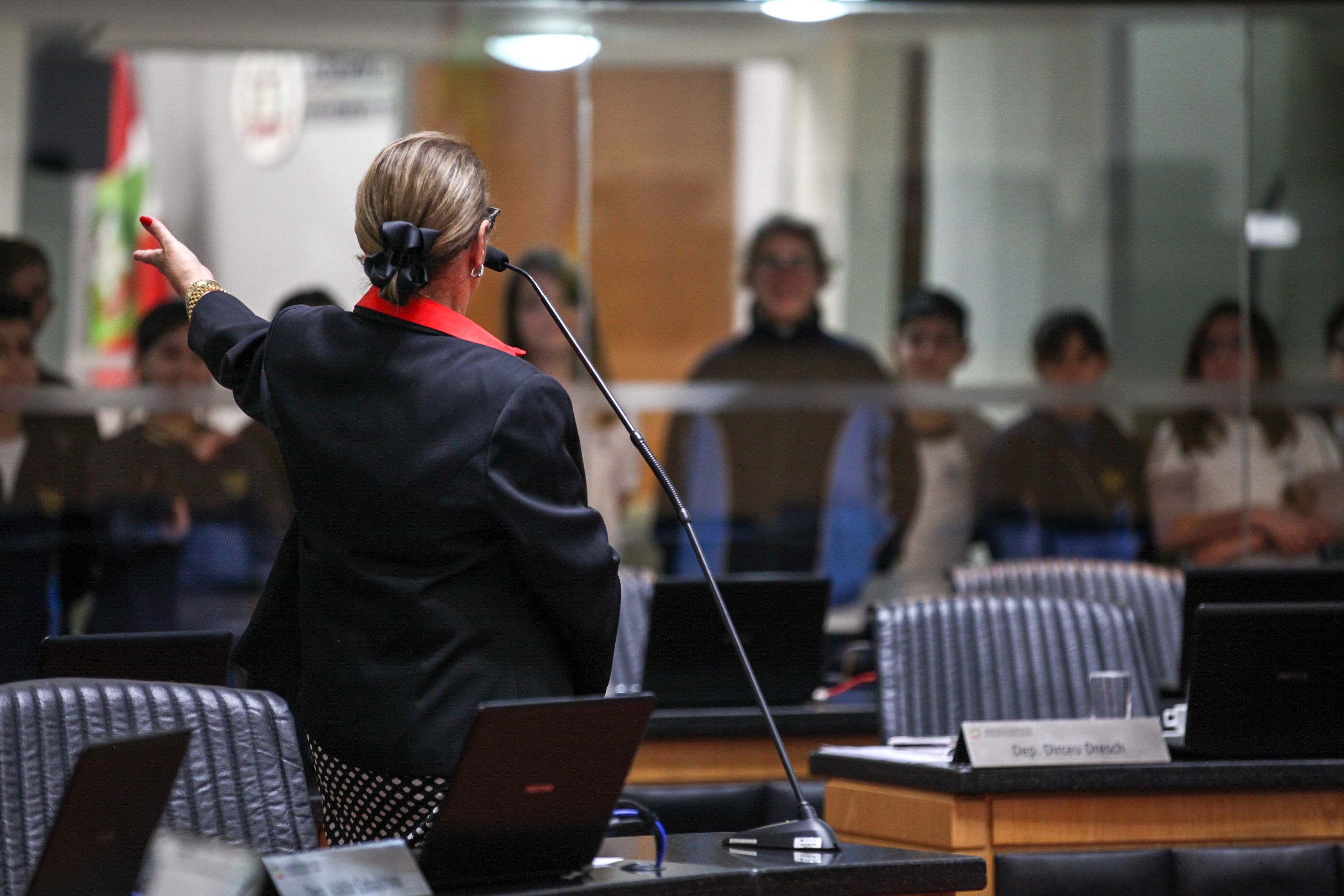 Deputada Ada Faraco de Luca (MDB). Sessão Ordinária.