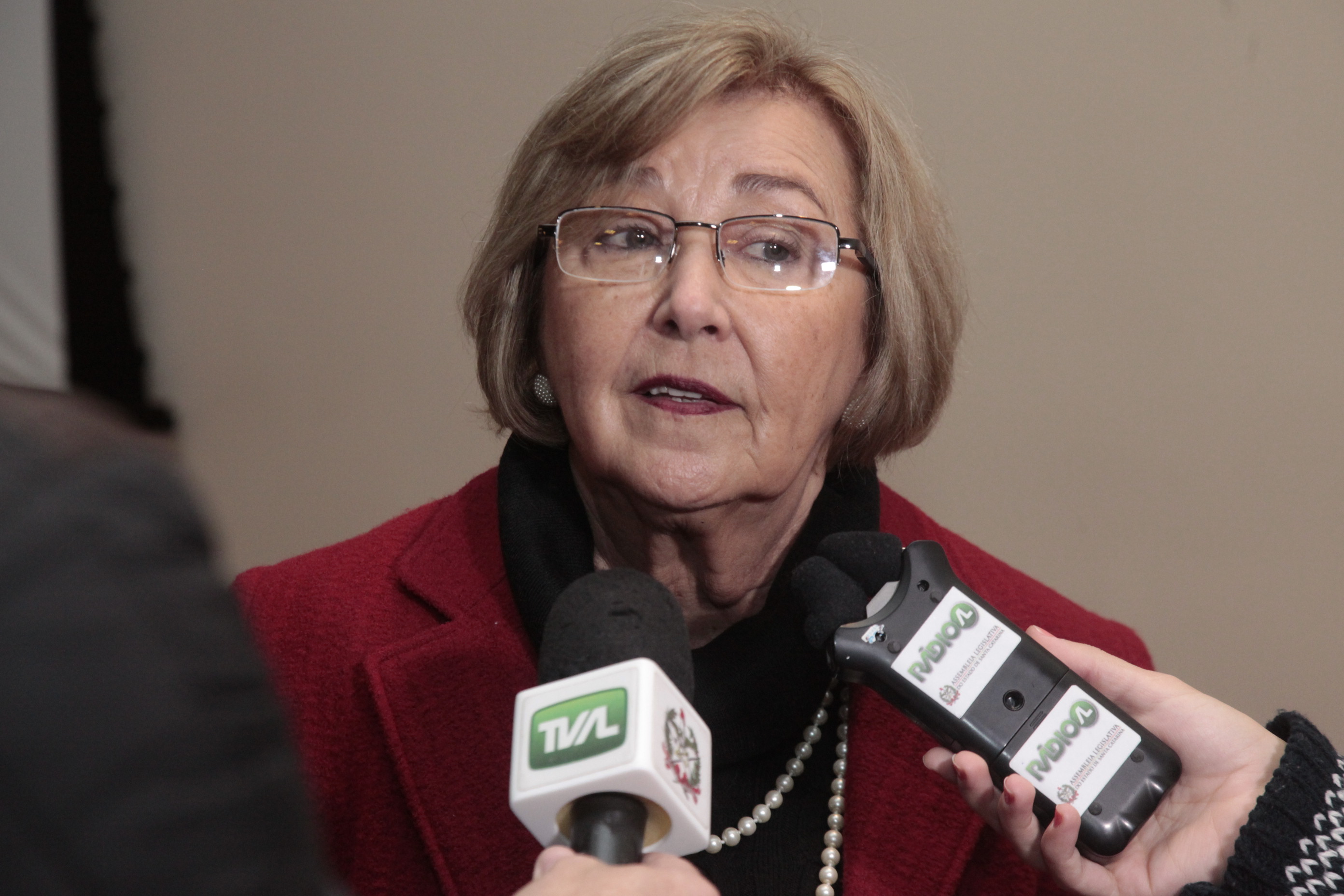 Dorisdaya Humerez Representante do Conselho Federal de Enfermagem