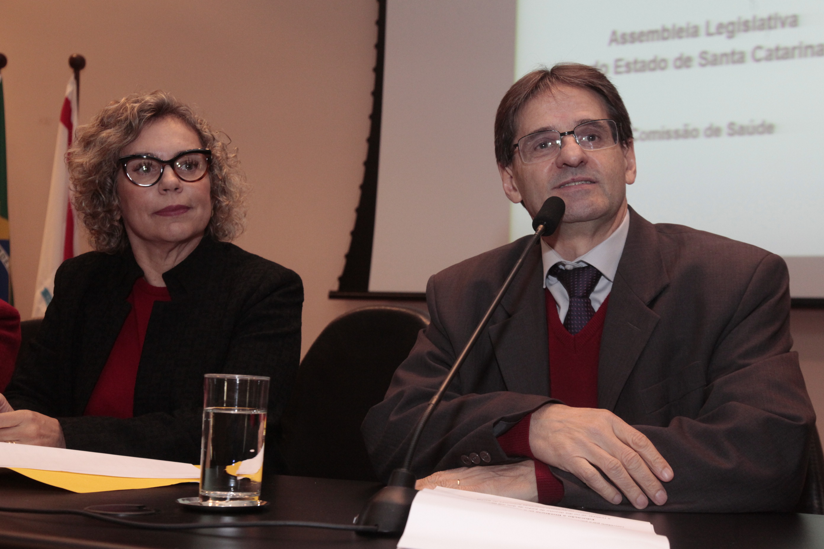 Audiência Pública Sobre Educação á Distância para Profissionais da Saúde