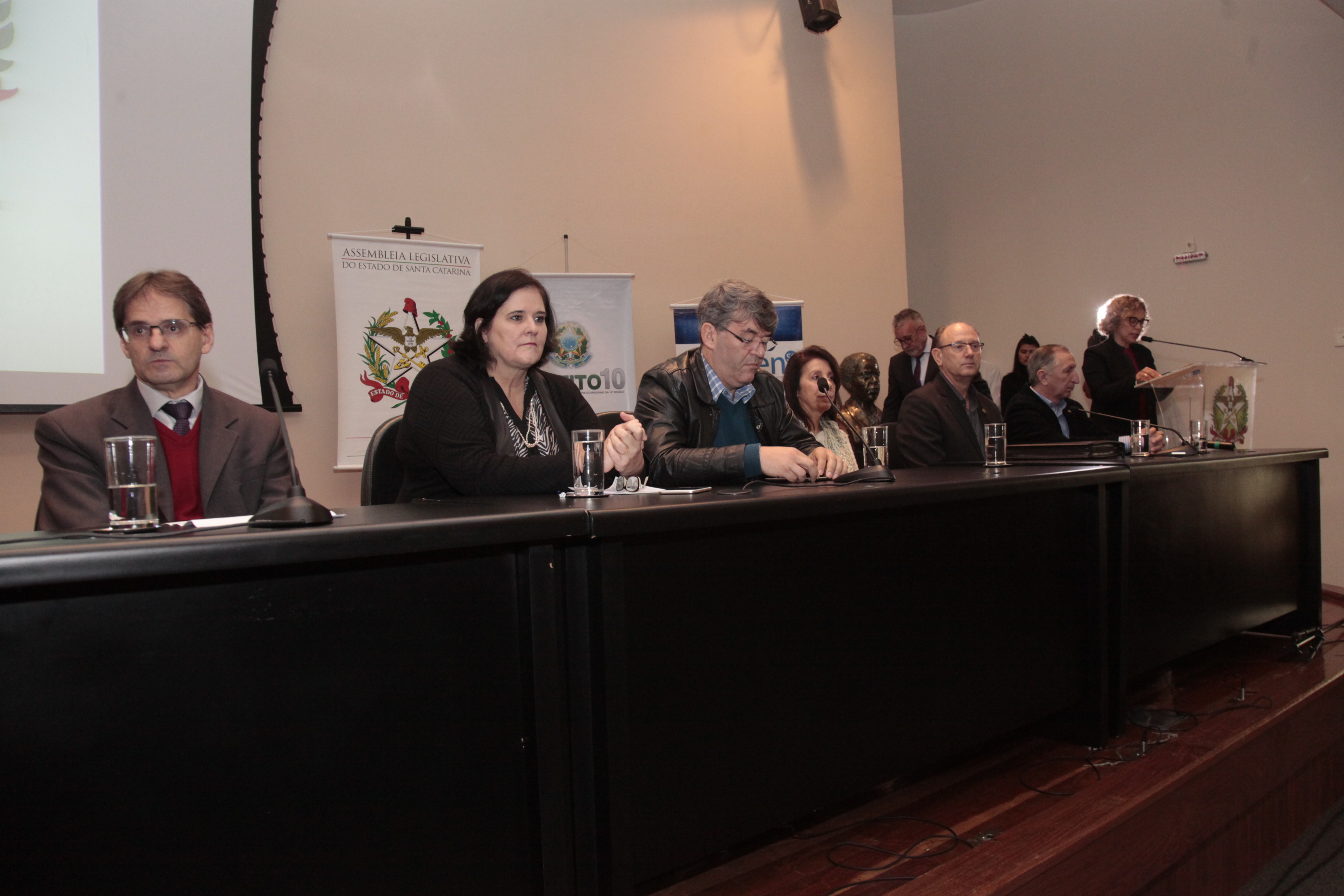 Audiência Pública Sobre Educação á Distância para Profissionais da Saúde