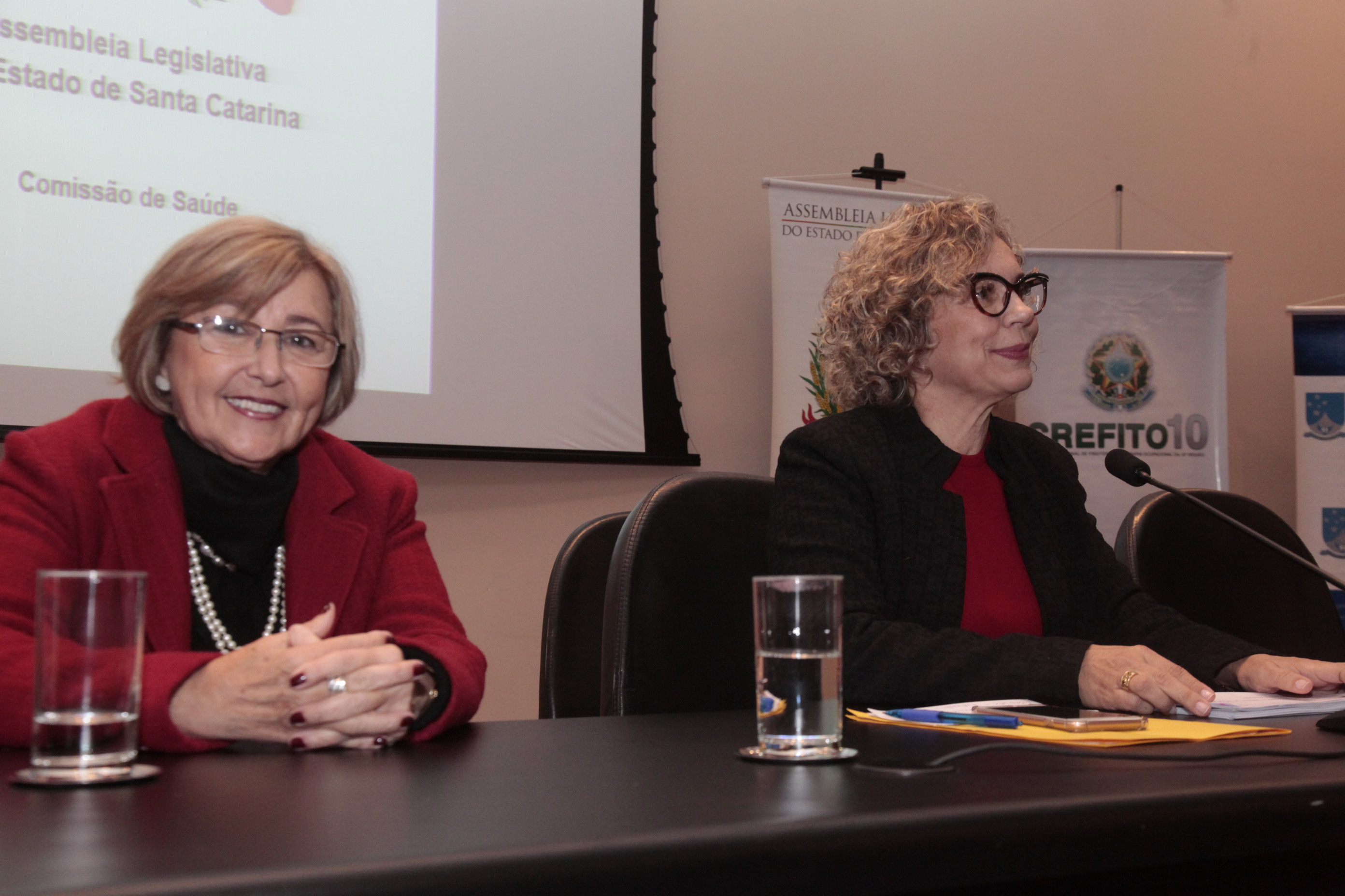 Audiência Pública Sobre Educação á Distância para Profissionais da Saúde