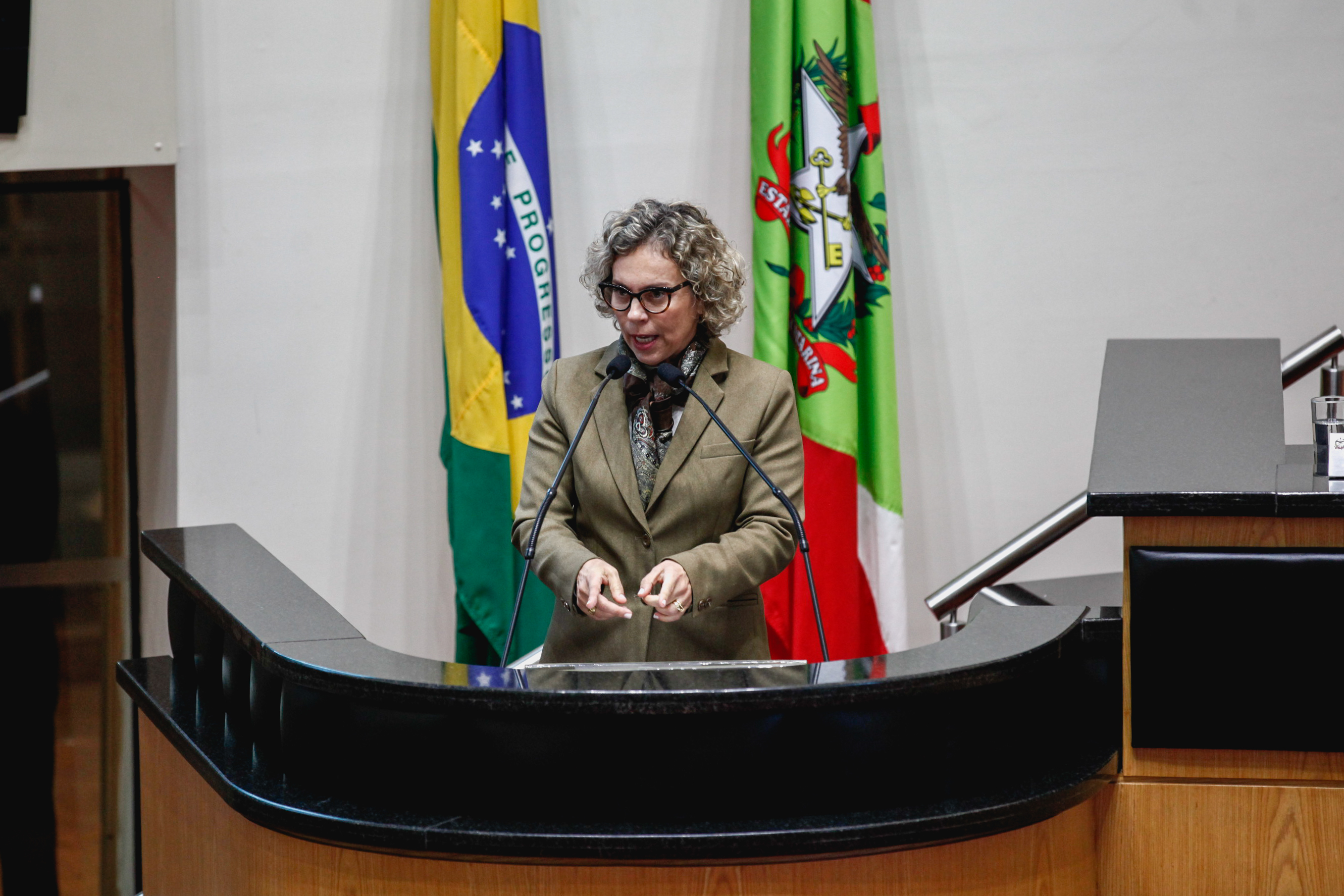 Deputada Ana Paula Lima (PT). Sessão Ordinária.
