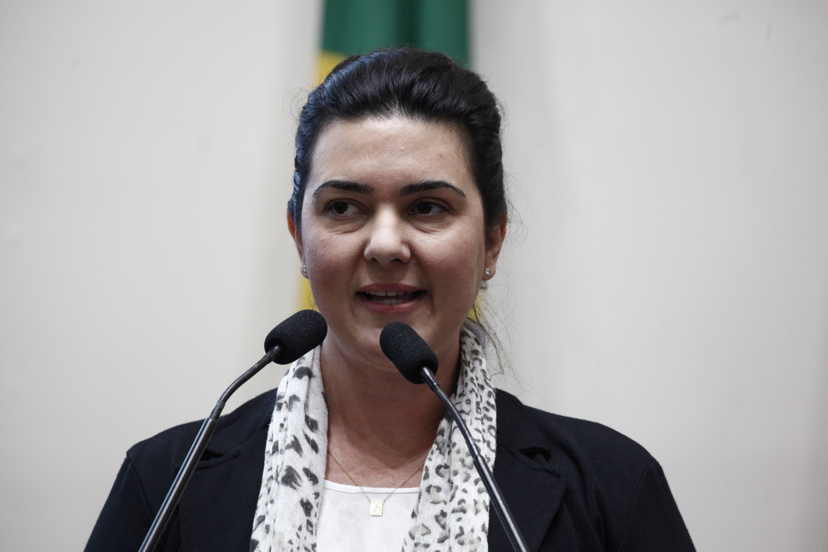 Daniele Sarmento Presidente Conselho de Arquitetura e Urbanismo SC