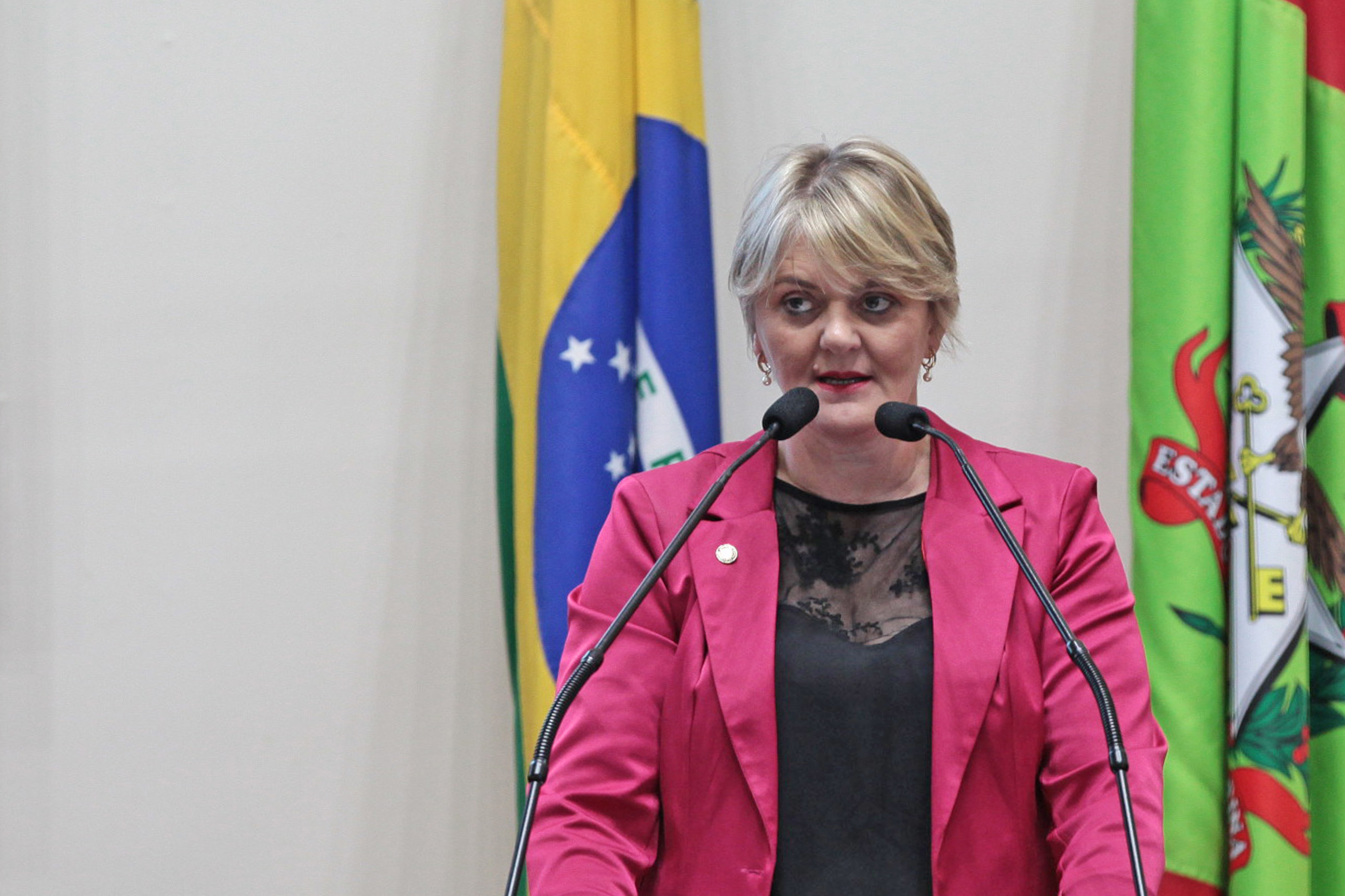 Deputada Luciane Carminatti (PT). Sessão Ordinária