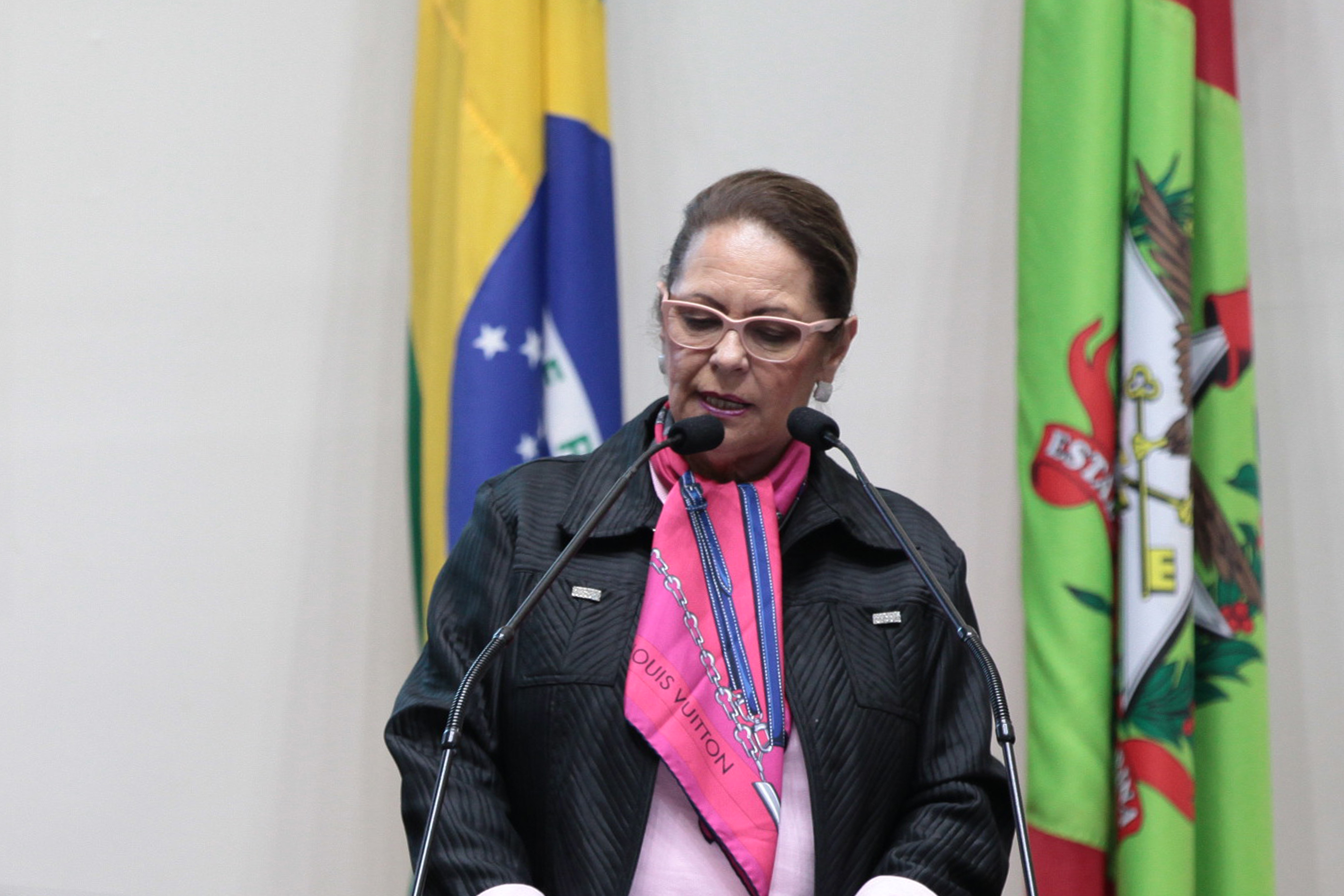 Deputada Ada Faraco de Luca (MDB). Sessão Ordinária