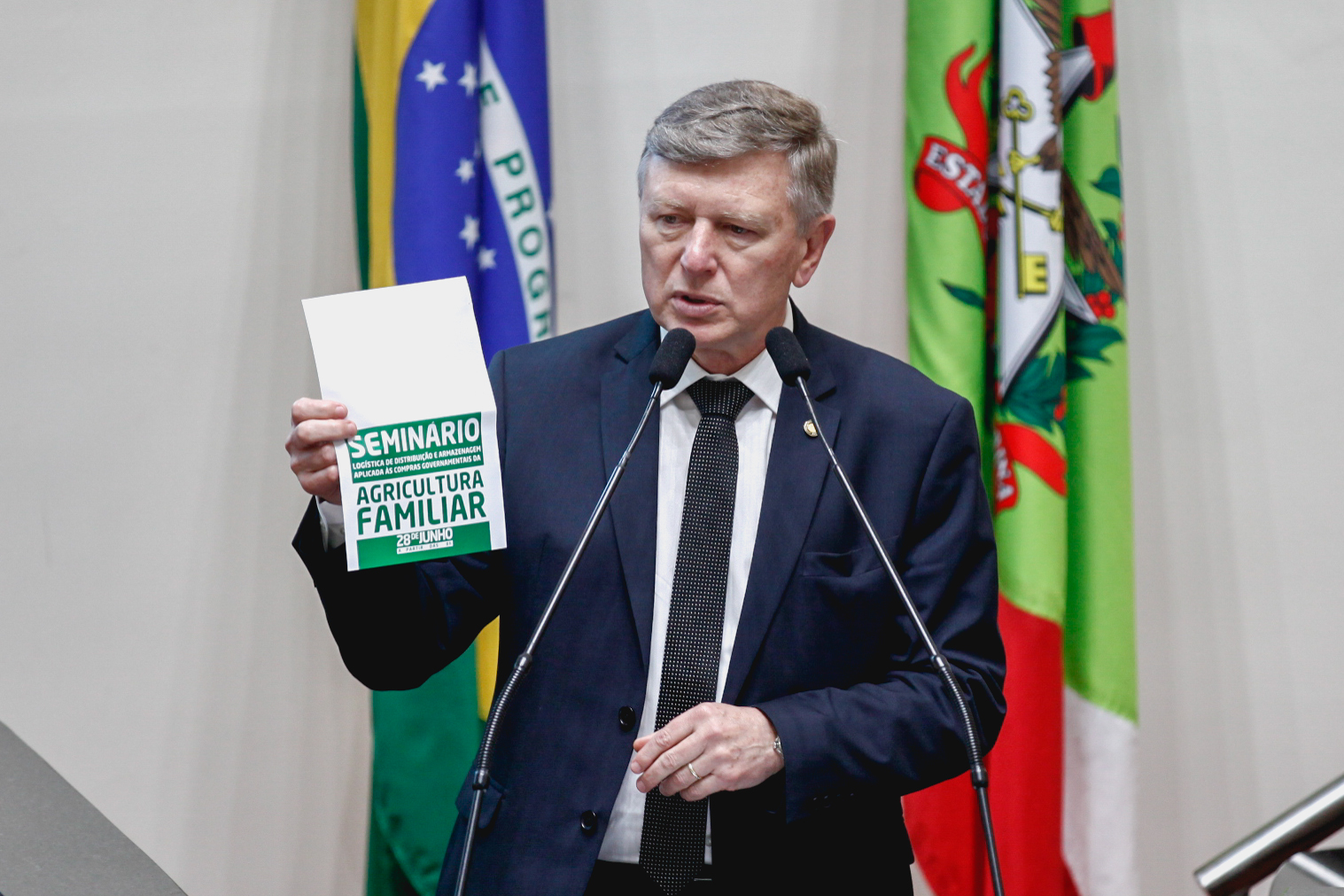 Deputado Milton Hobus (PSD). Sessão Ordinária.