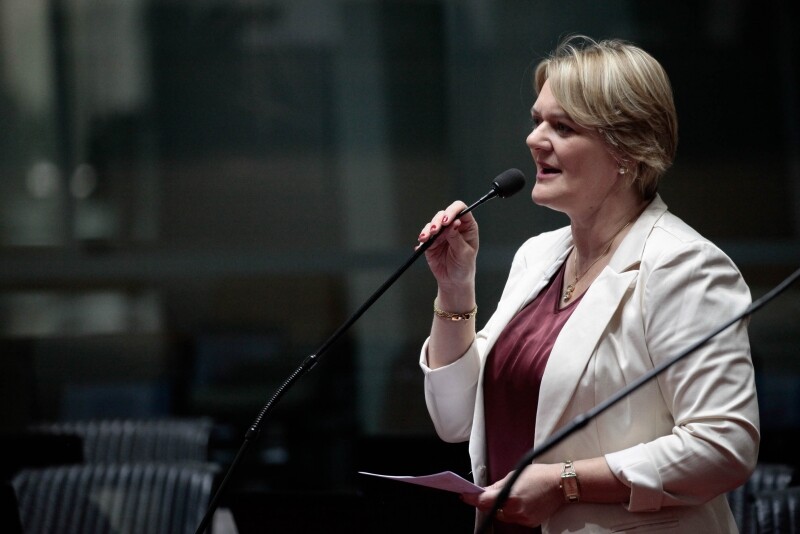 Deputada Luciane Carminatti