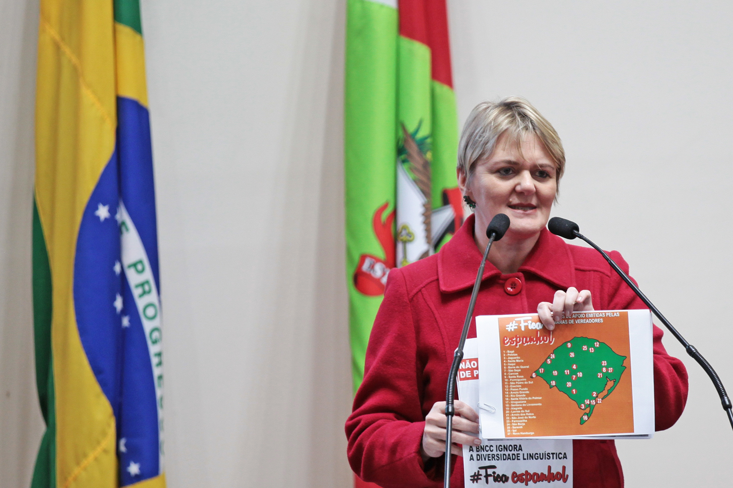 Deputada Luciane Carminatti (PT) - Sessão Ordinária