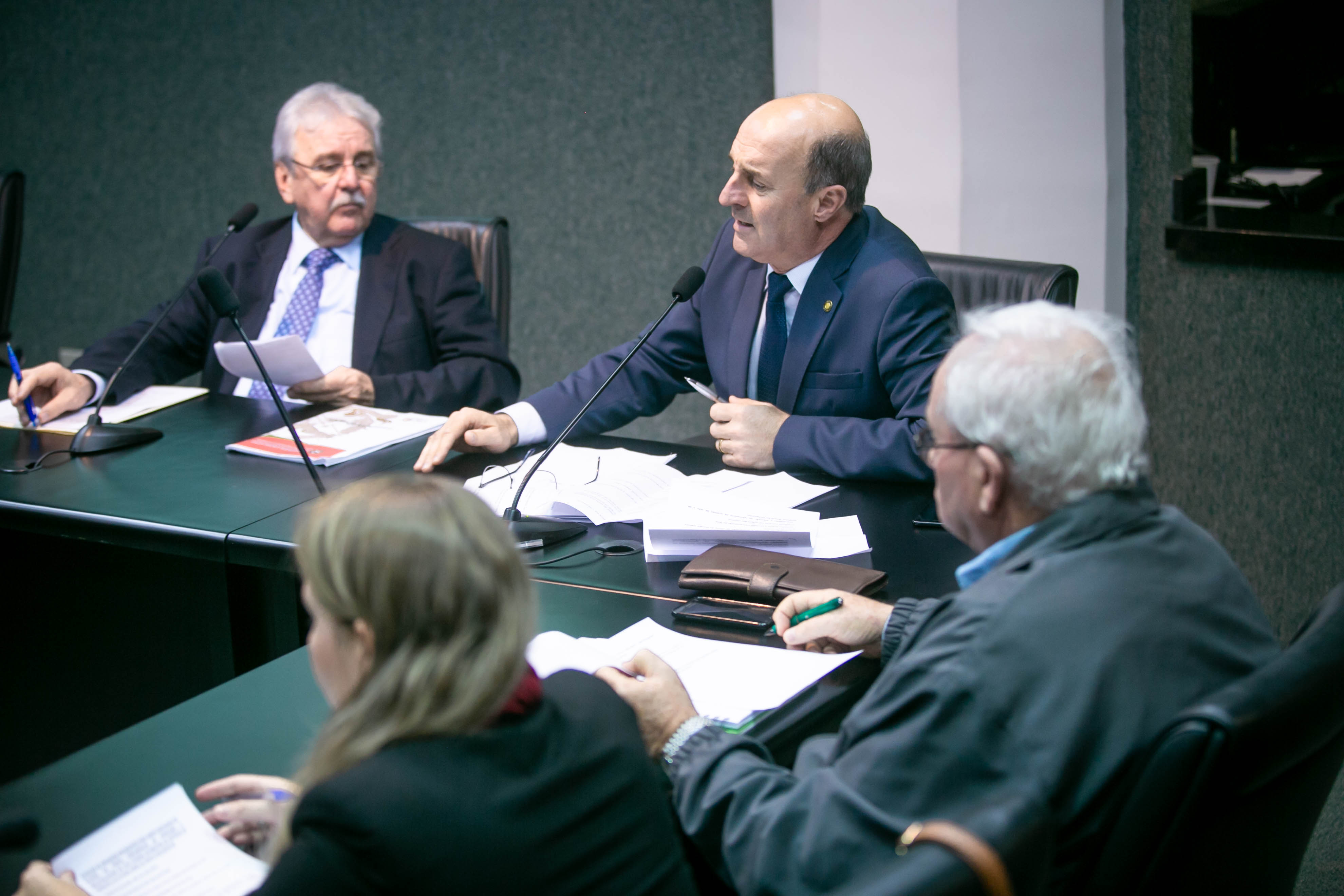Reunião da Frente Parlamentar de Produção e Industrialização do Leite