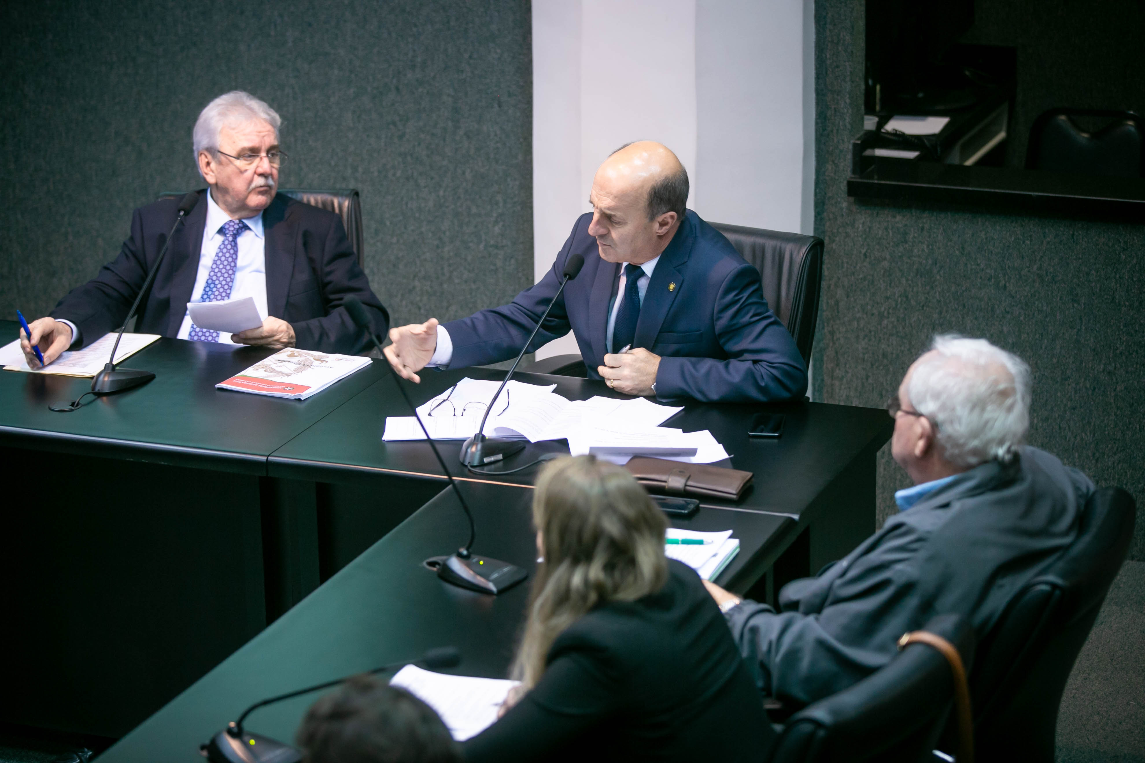 Reunião da Frente Parlamentar de Produção e Industrialização do Leite