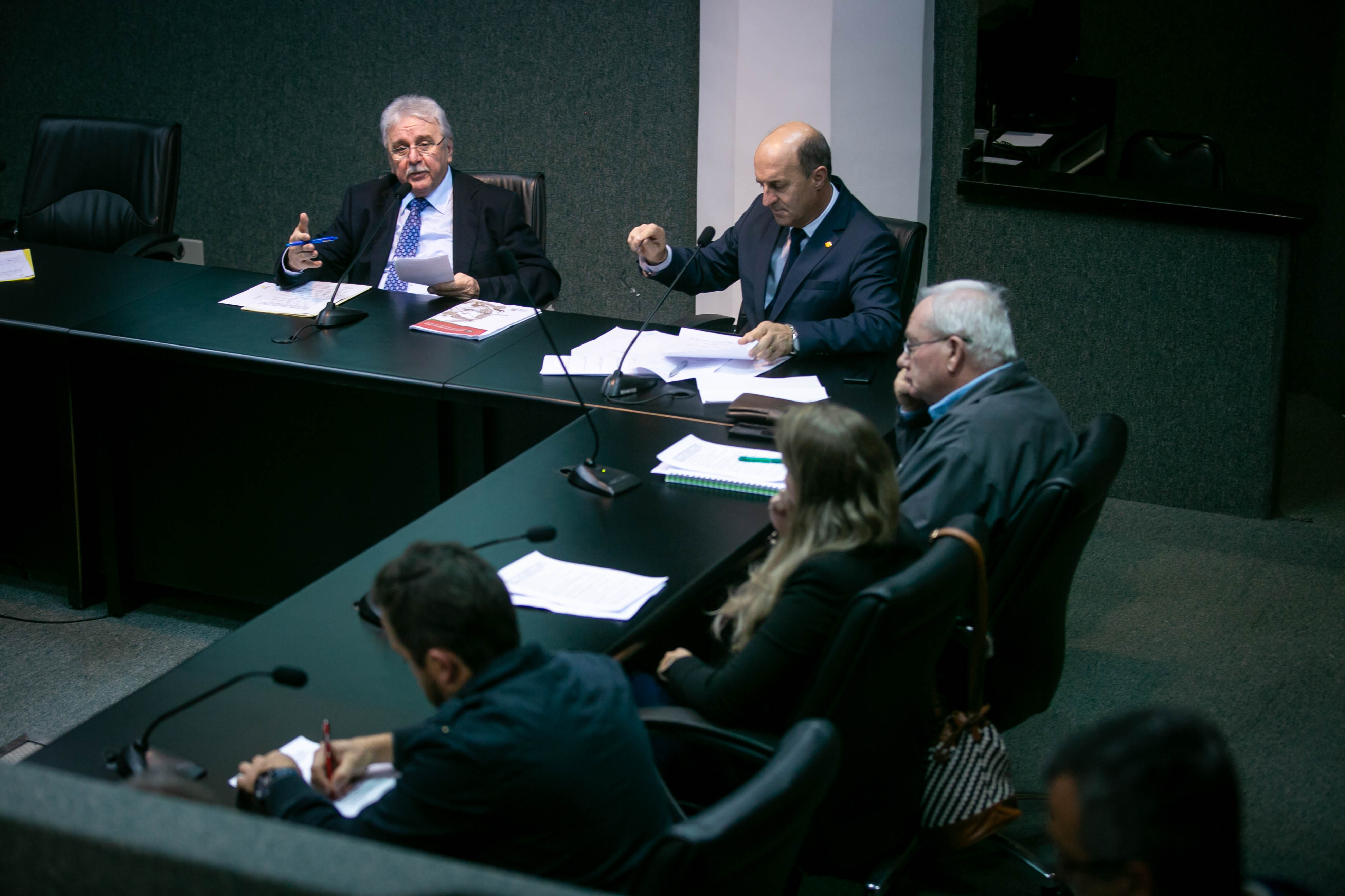 Reunião da Frente Parlamentar de Produção e Industrialização do Leite