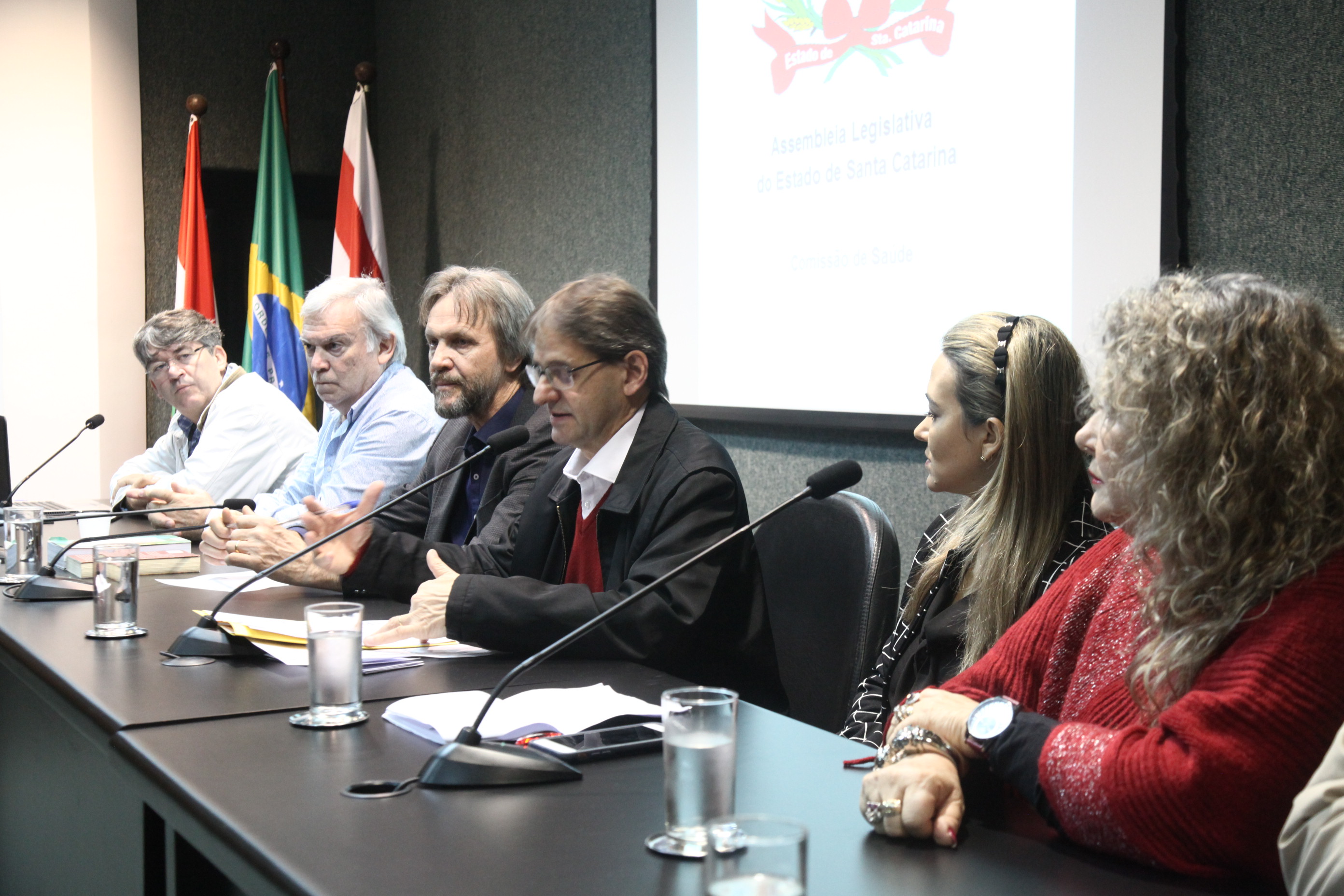 Audiência Pública Alimentação Saudável Redução de Agrotóxicos na Produção de Alimentos