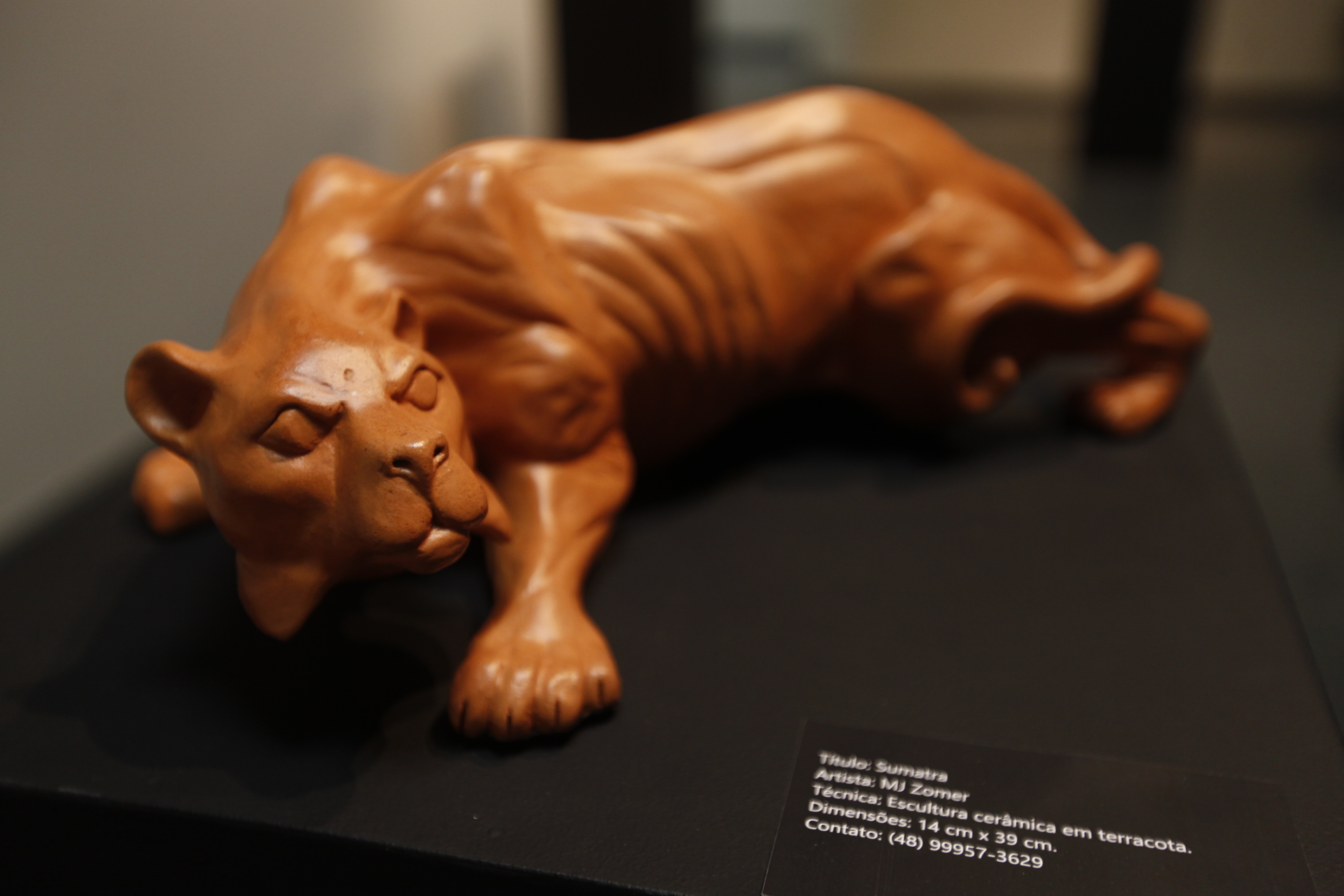 Exposição Gatos da IV Mostra de Arte Cerâmica - Artista MJ Zomer.