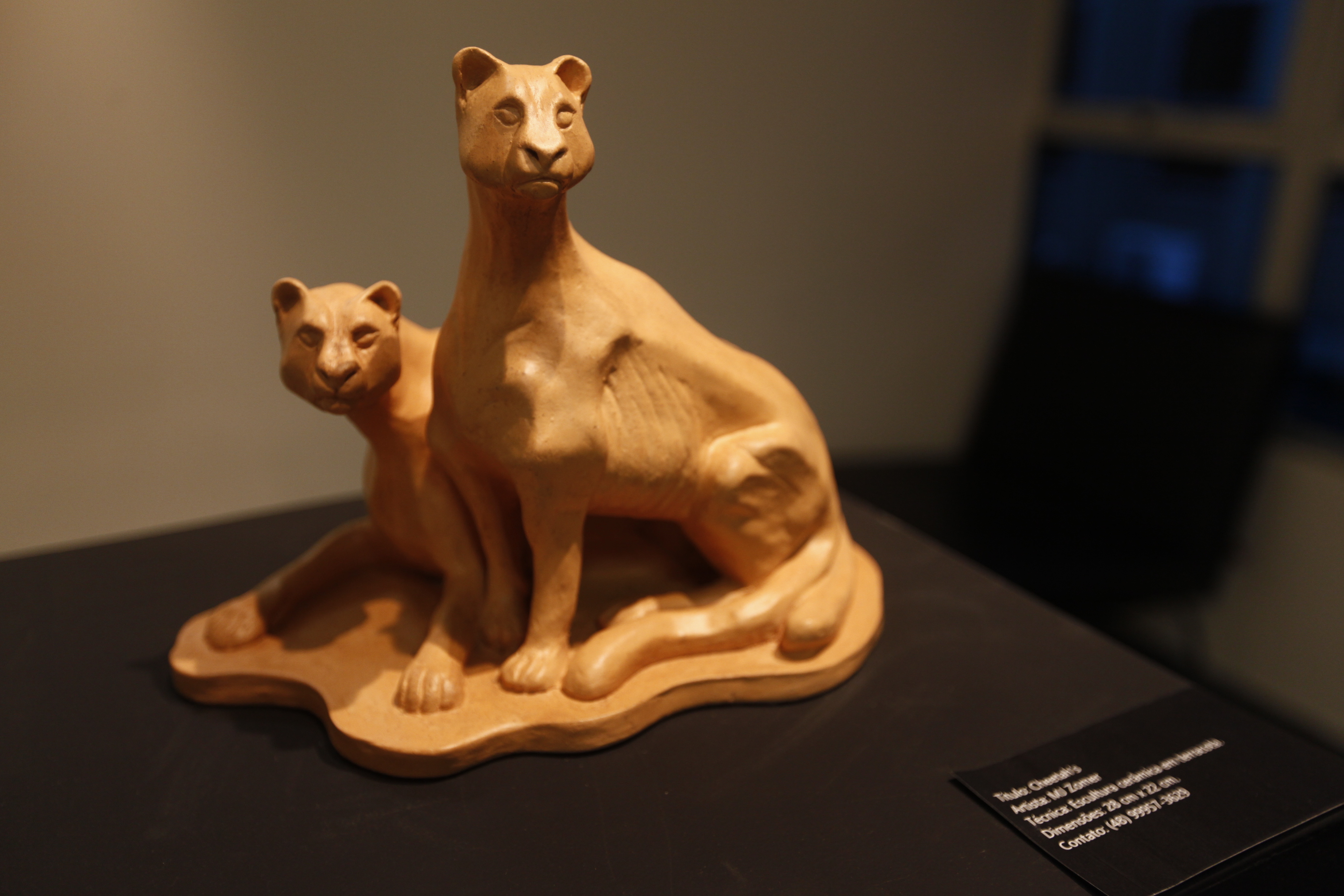 Exposição Gatos da IV Mostra de Arte Cerâmica - Artista MJ Zomer.