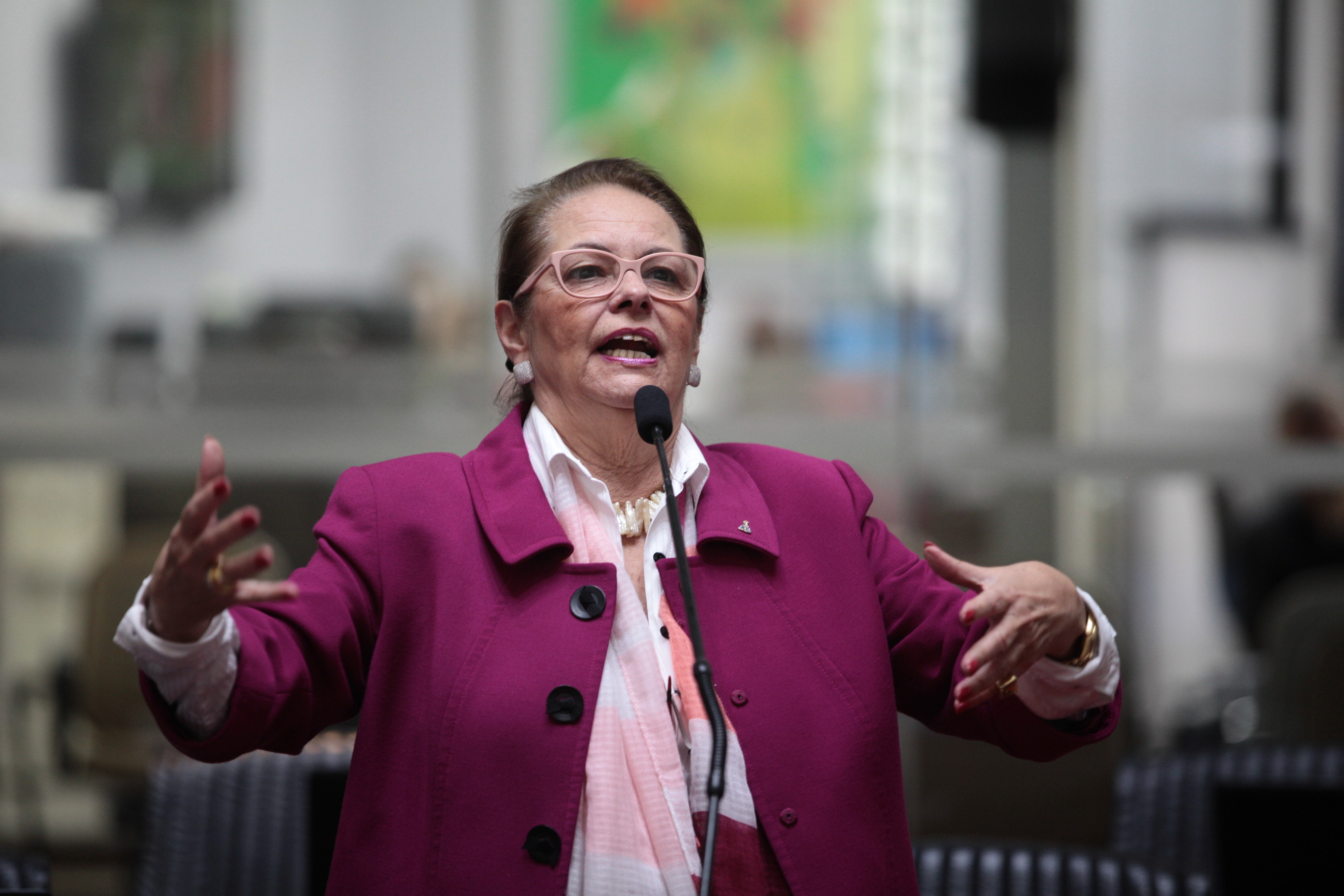 Deputada Ada Faraco de Luca (PMDB)