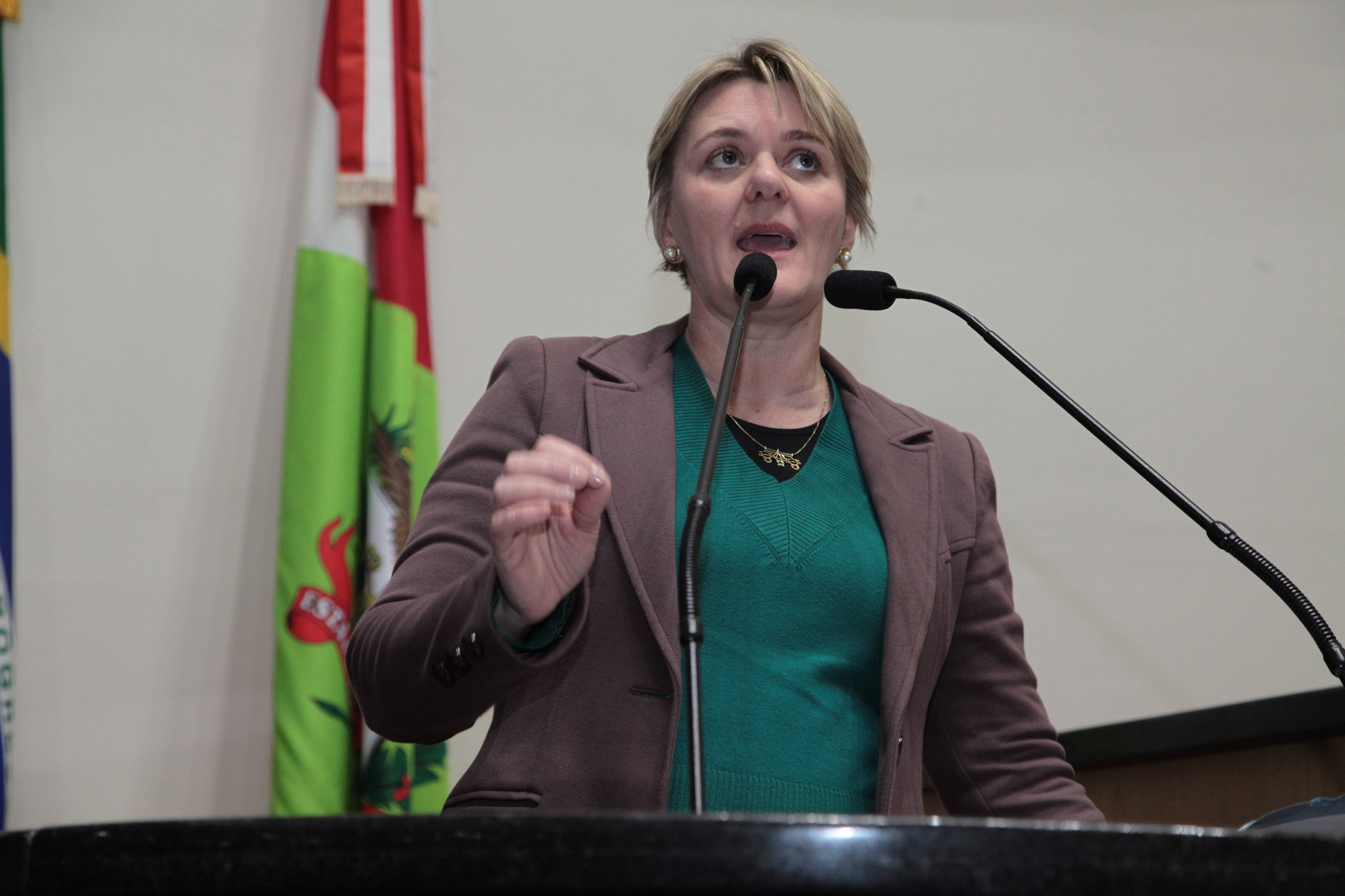 Sessão Ordinária - Deputada Luciane Carminatti (PT)