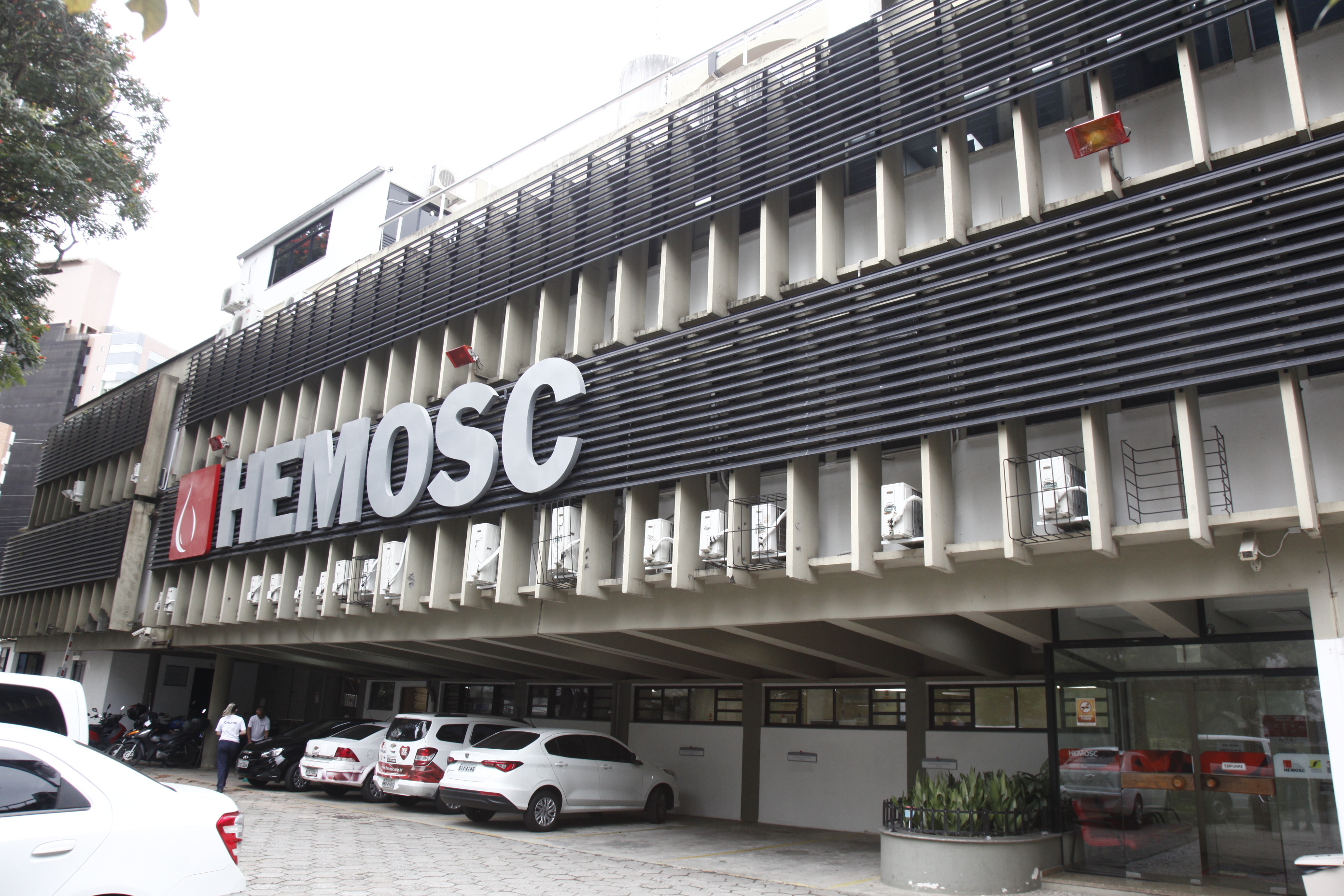 Hemosc Campanha Junho Vermelho