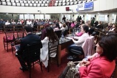 Audiência debate a implementação efetiva da Lei dos 60 dias no SUS em SC