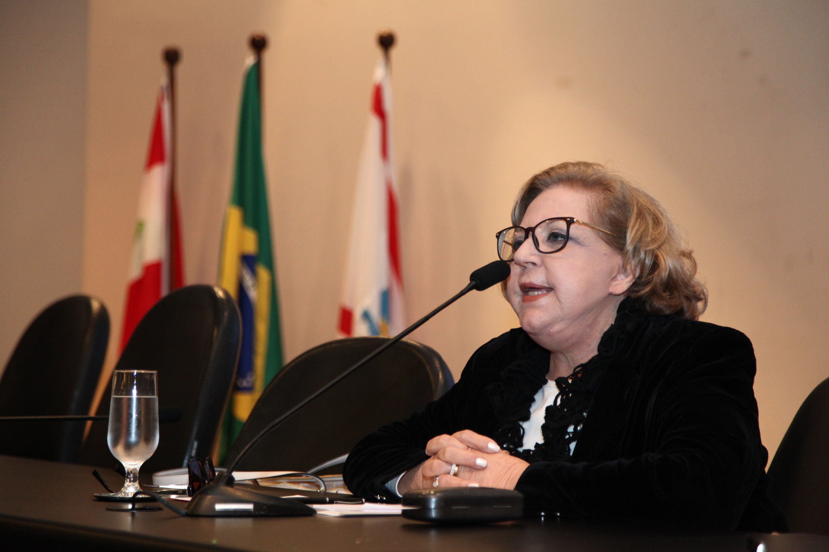 Desembargadora Salete Sommariva Palestra sobre Violência Doméstica