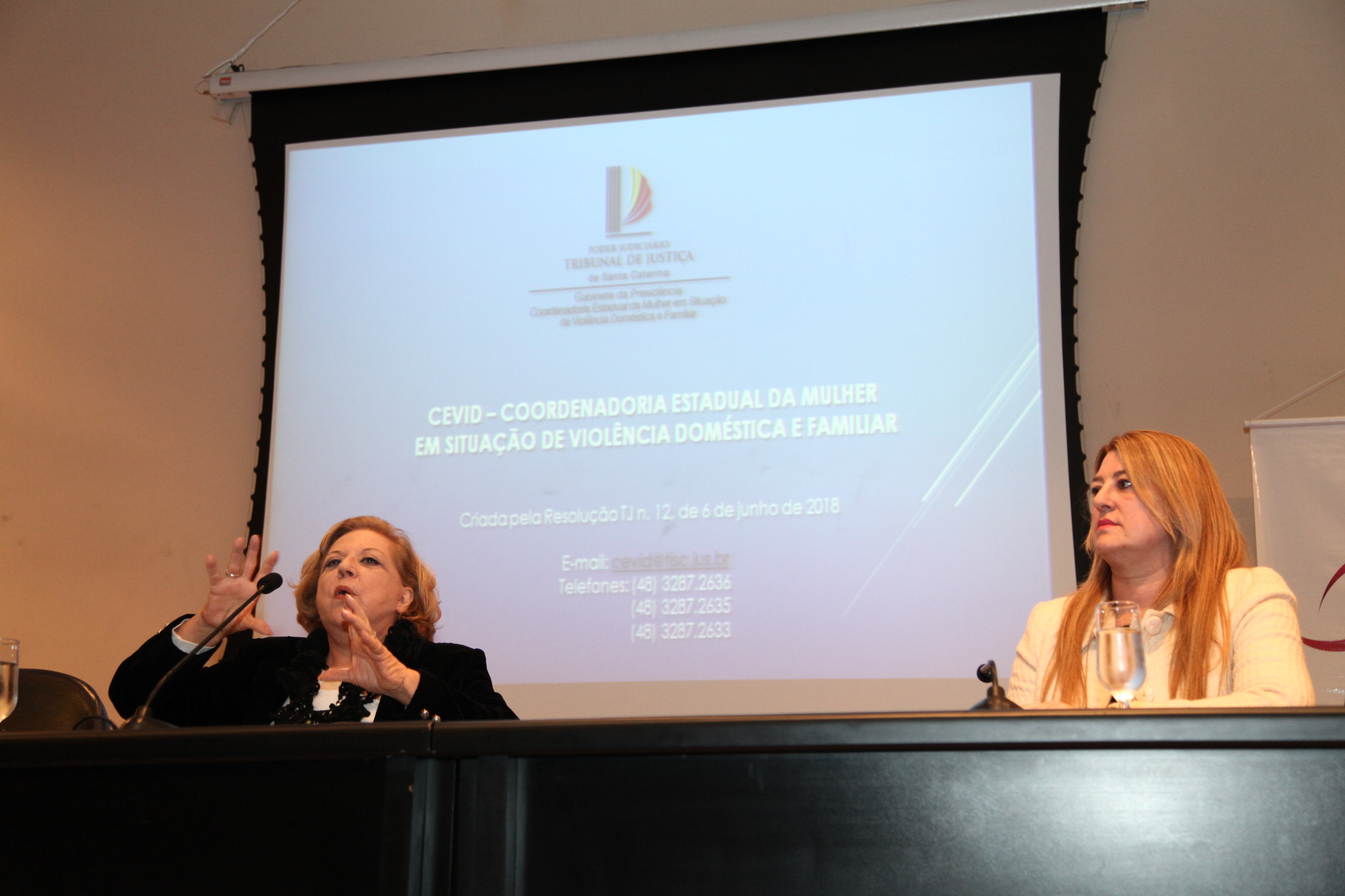 Desembargadora Salete Sommariva Palestra sobre Violência Doméstica
