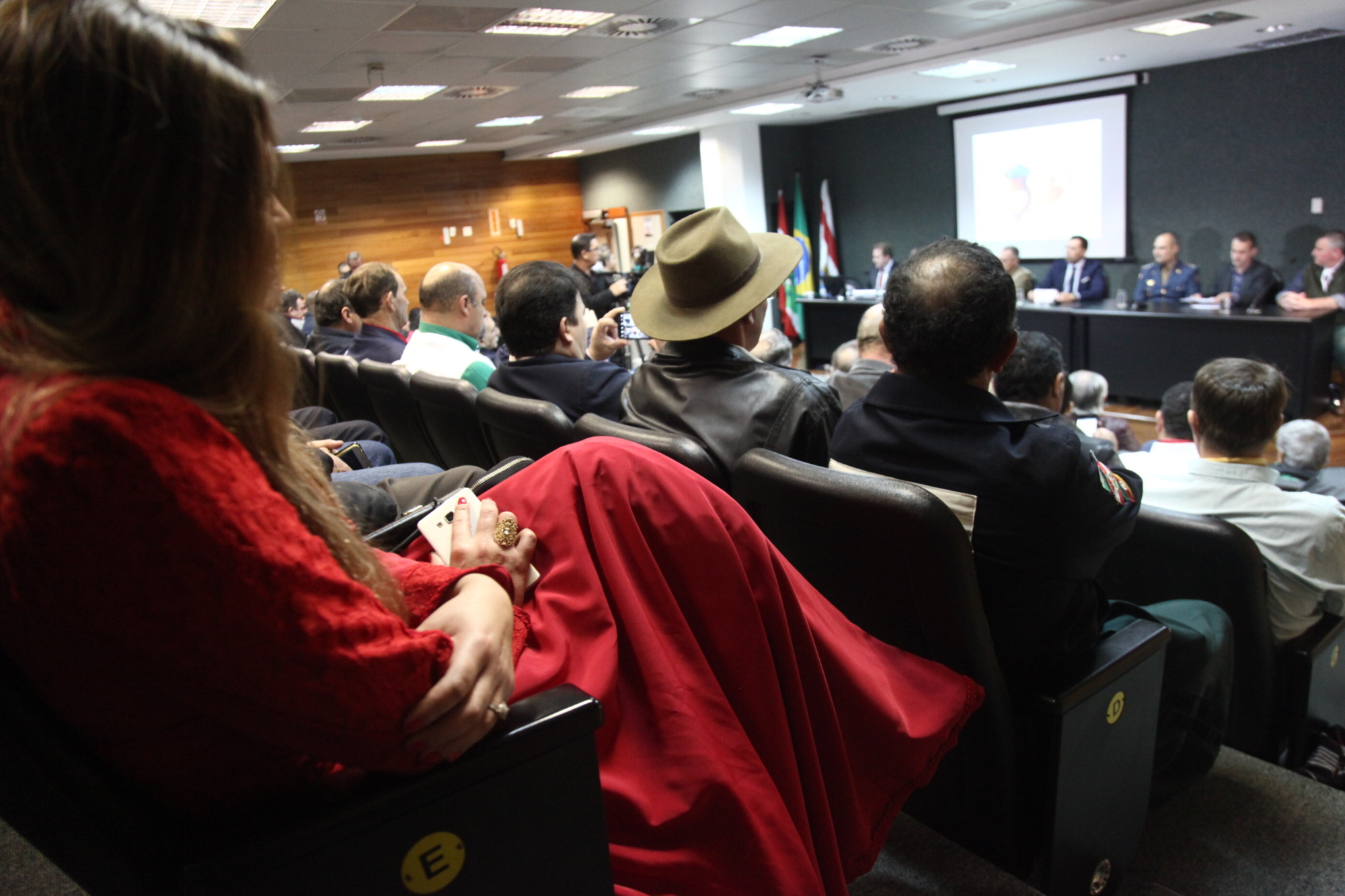 Frente Parlamentar debate flexibilização de exigências para realização de eventos rurais