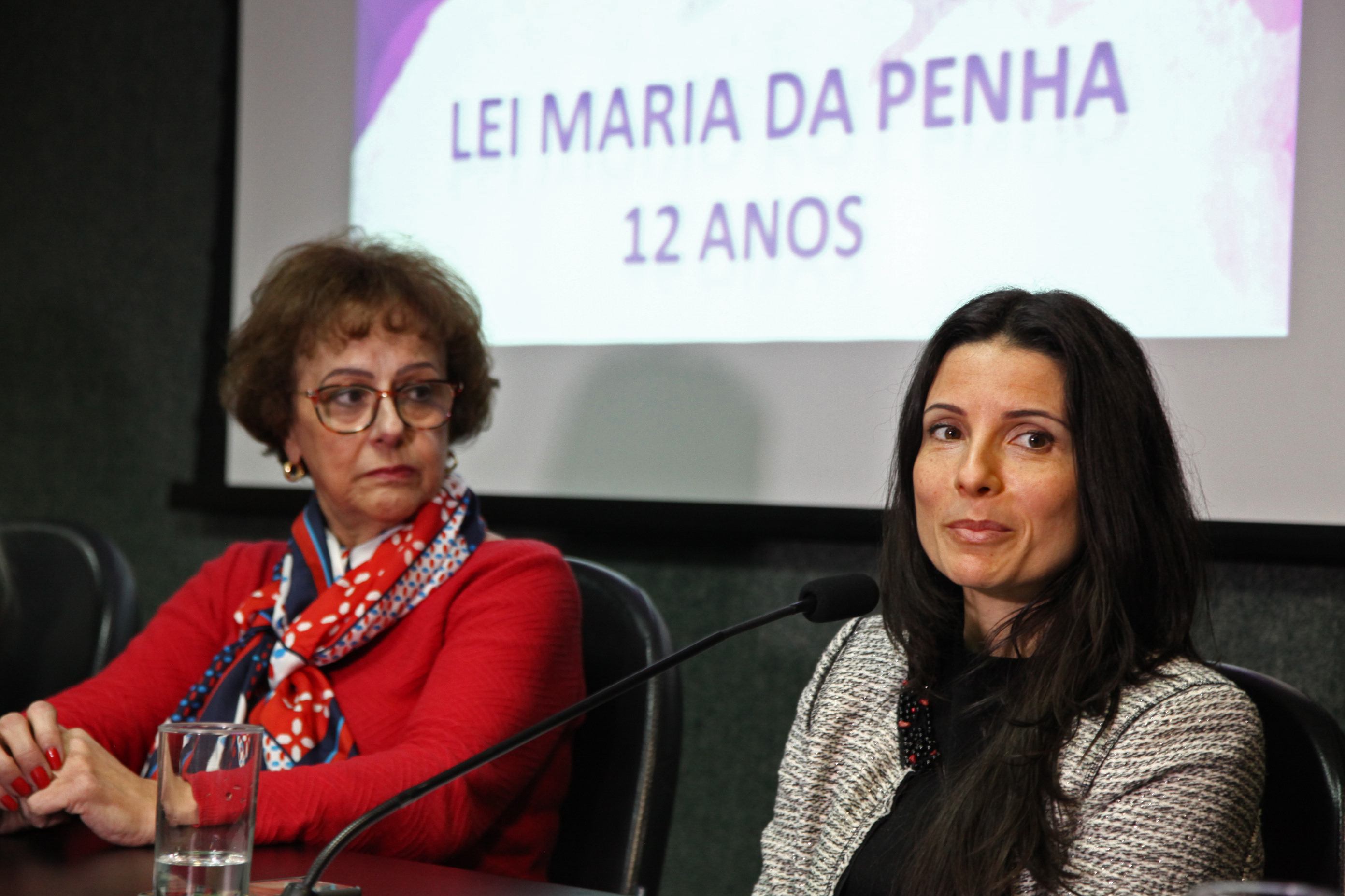 Fórum - Aniversário de 12 Anos Lei Maria da Penha.