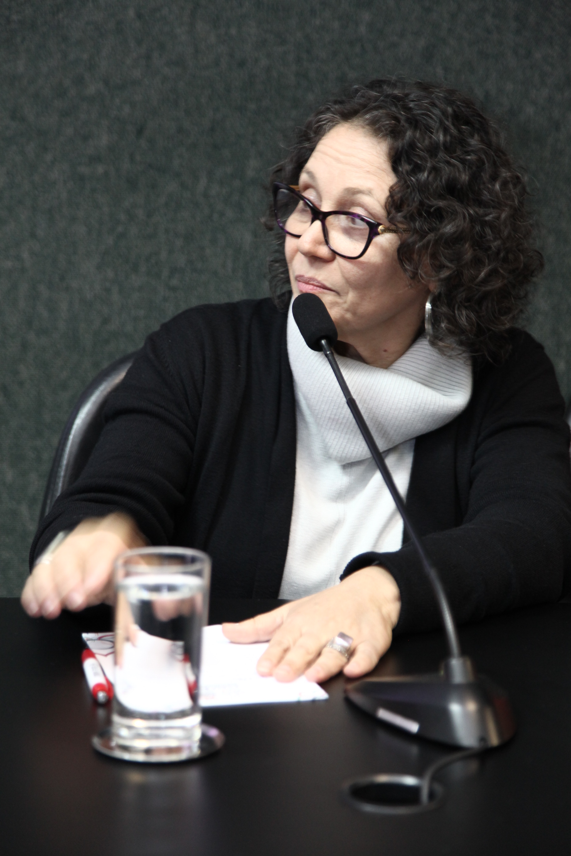 Fórum - Aniversário de 12 Anos Lei Maria da Penha.