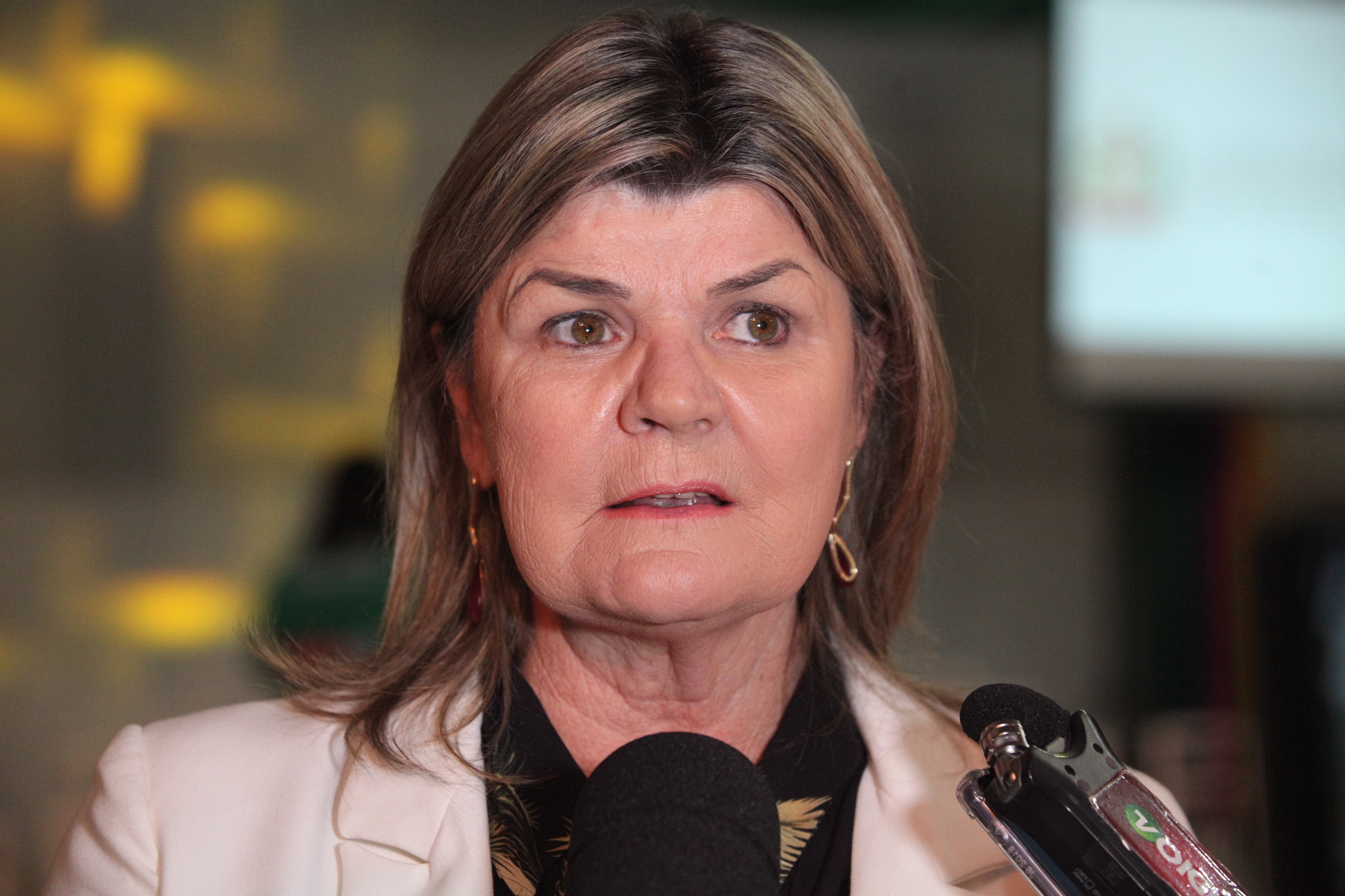 Olimpíadas APAEs - Natália Petry, presidente da Fesporte