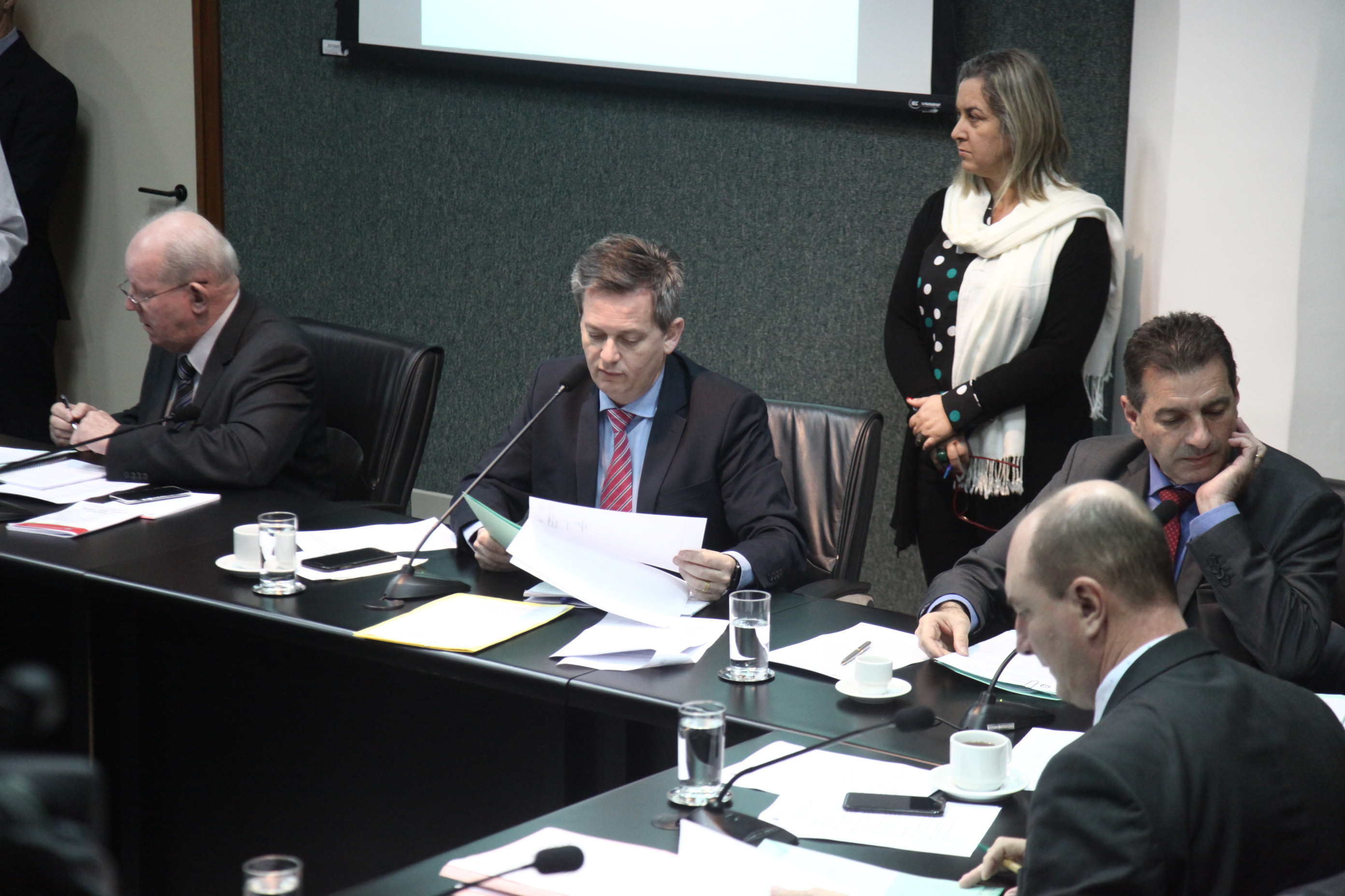 Comissão de Constituição e Justiça