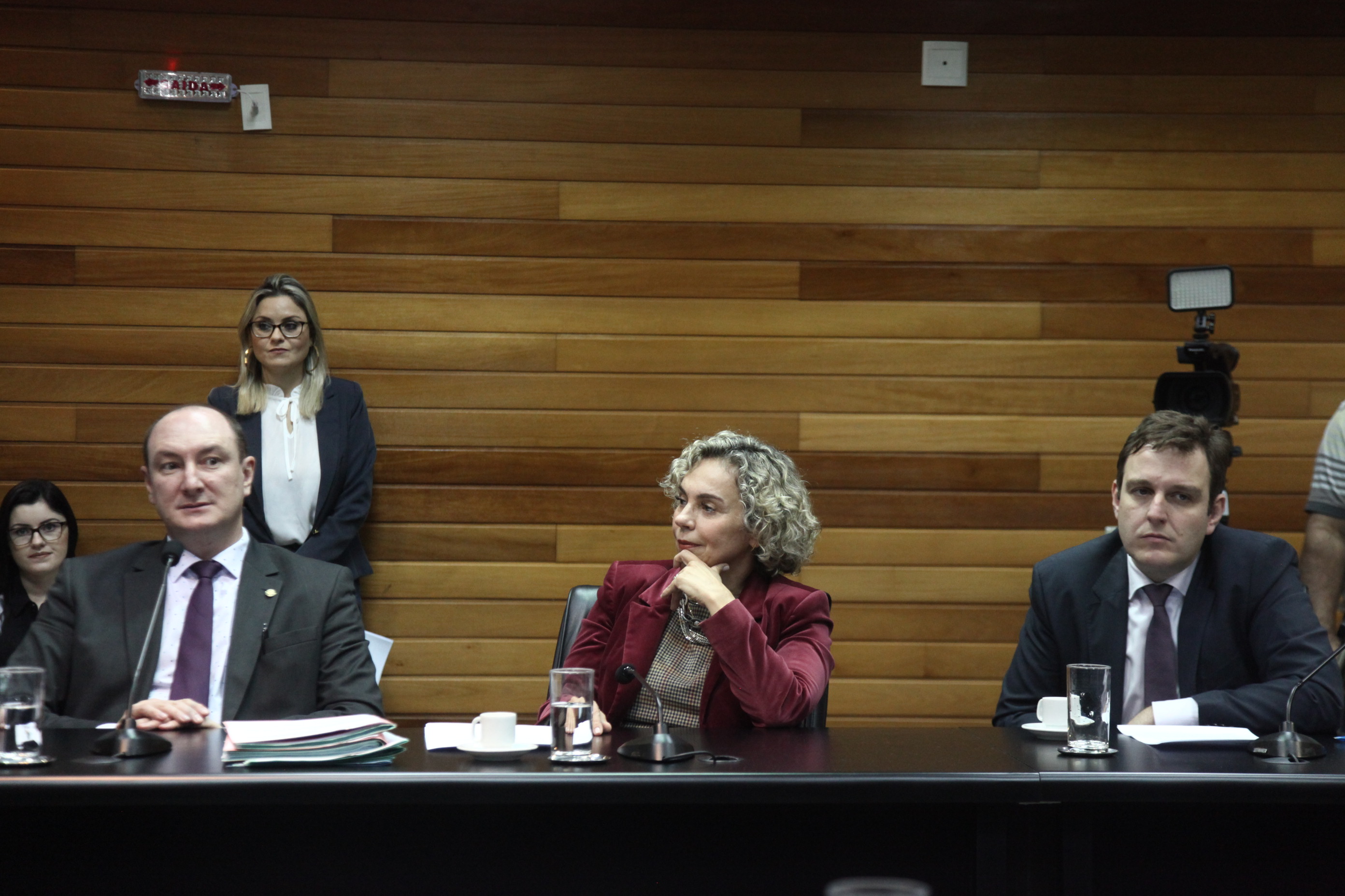 Comissão de Constituição e Justiça
