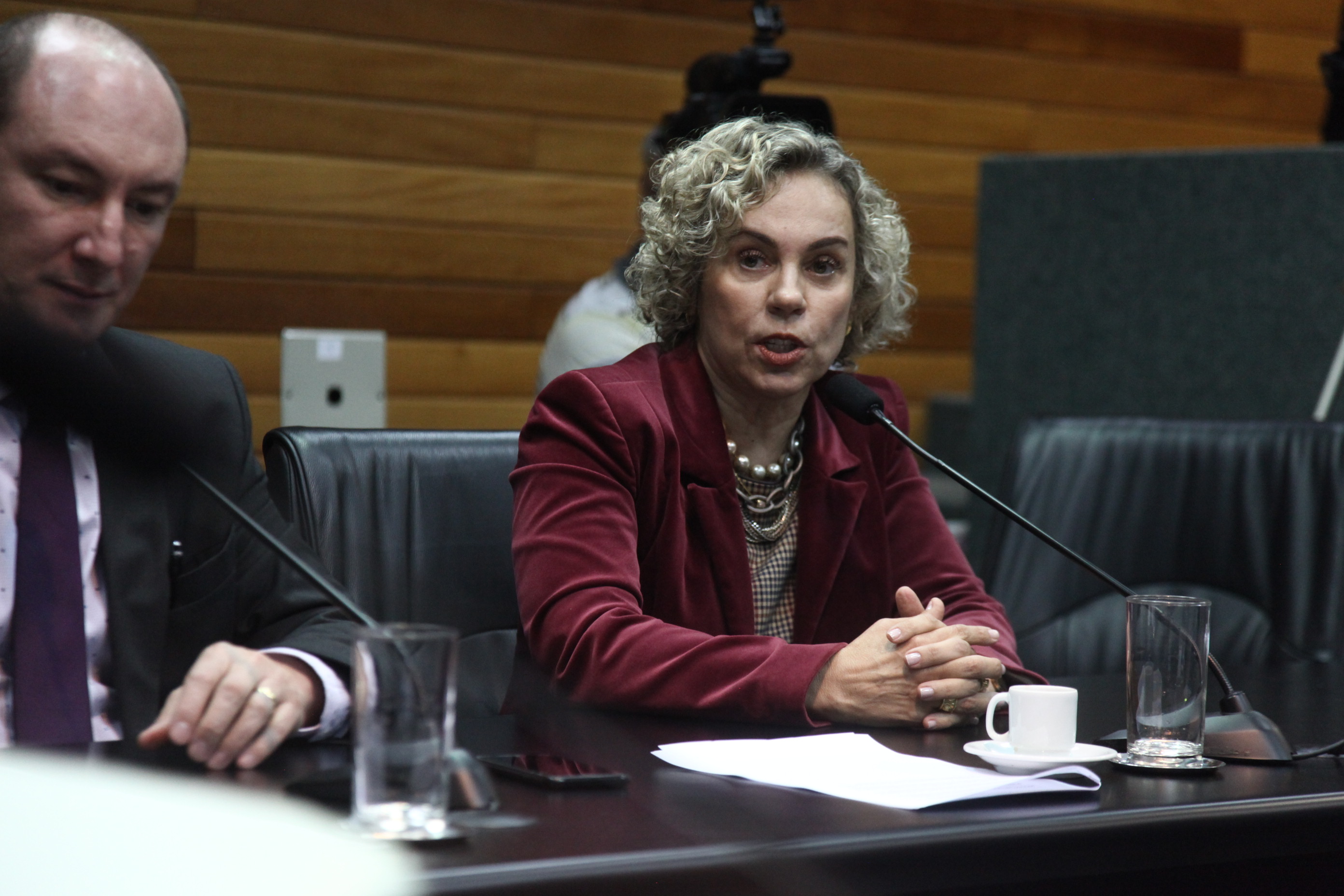 Comissão de Constituição e Justiça