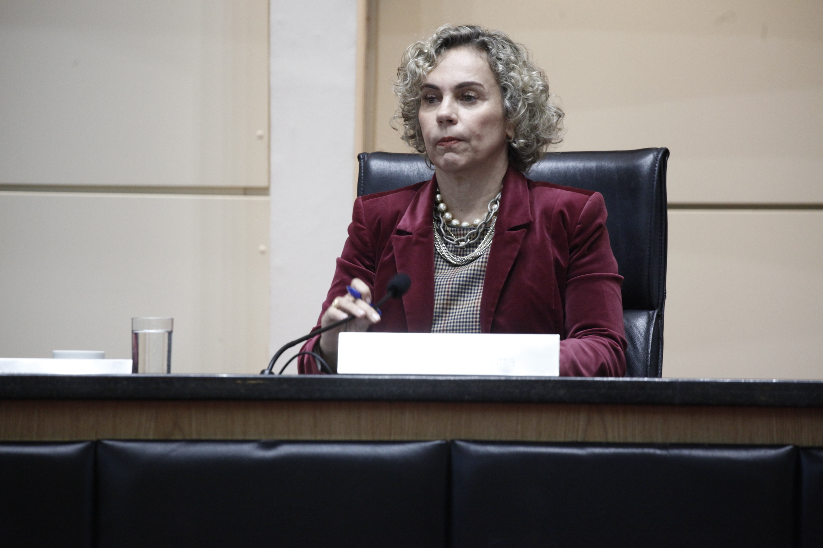 Deputada Ana Paula Lima (PT)
