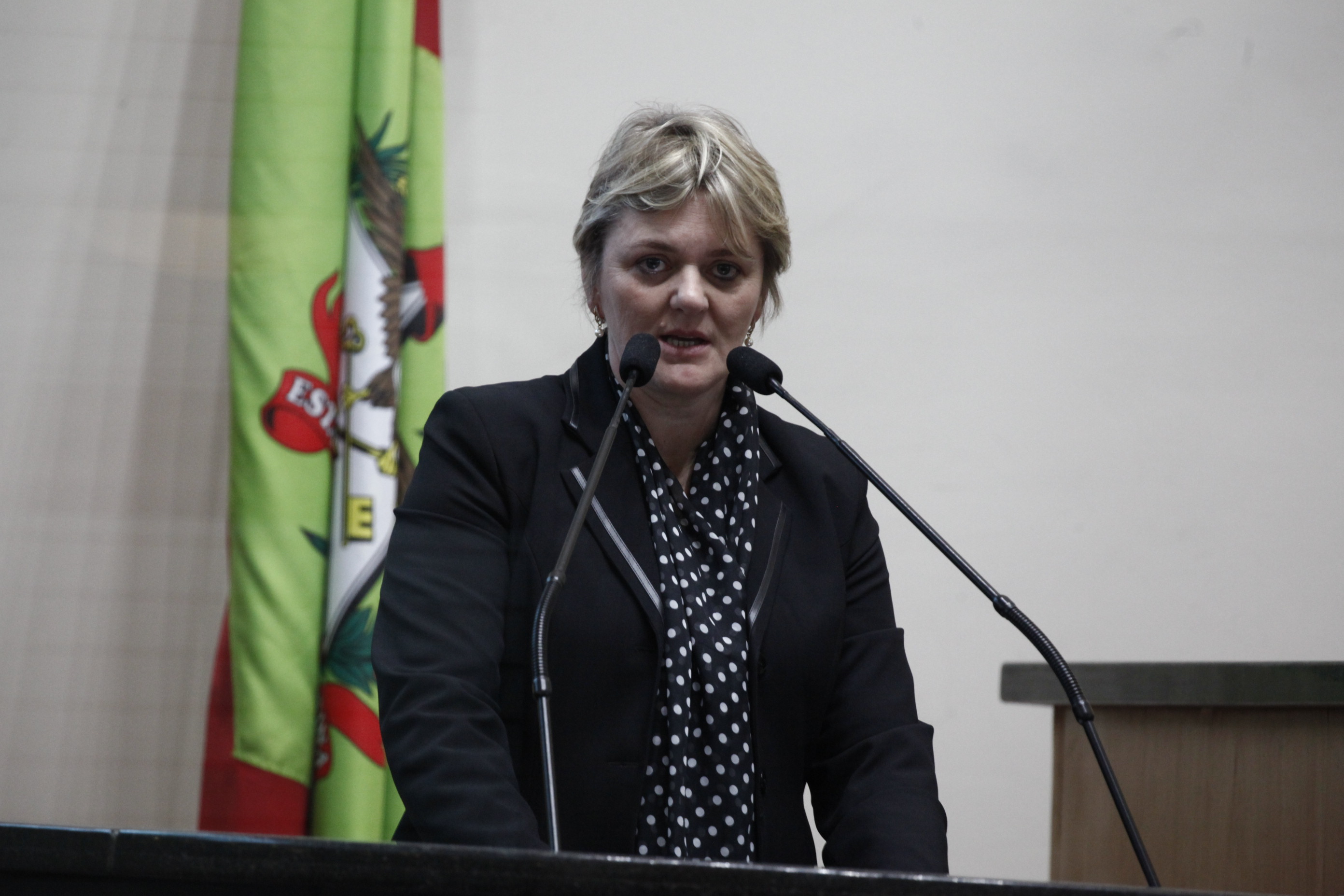 Deputada Luciane Carminatti (PT)