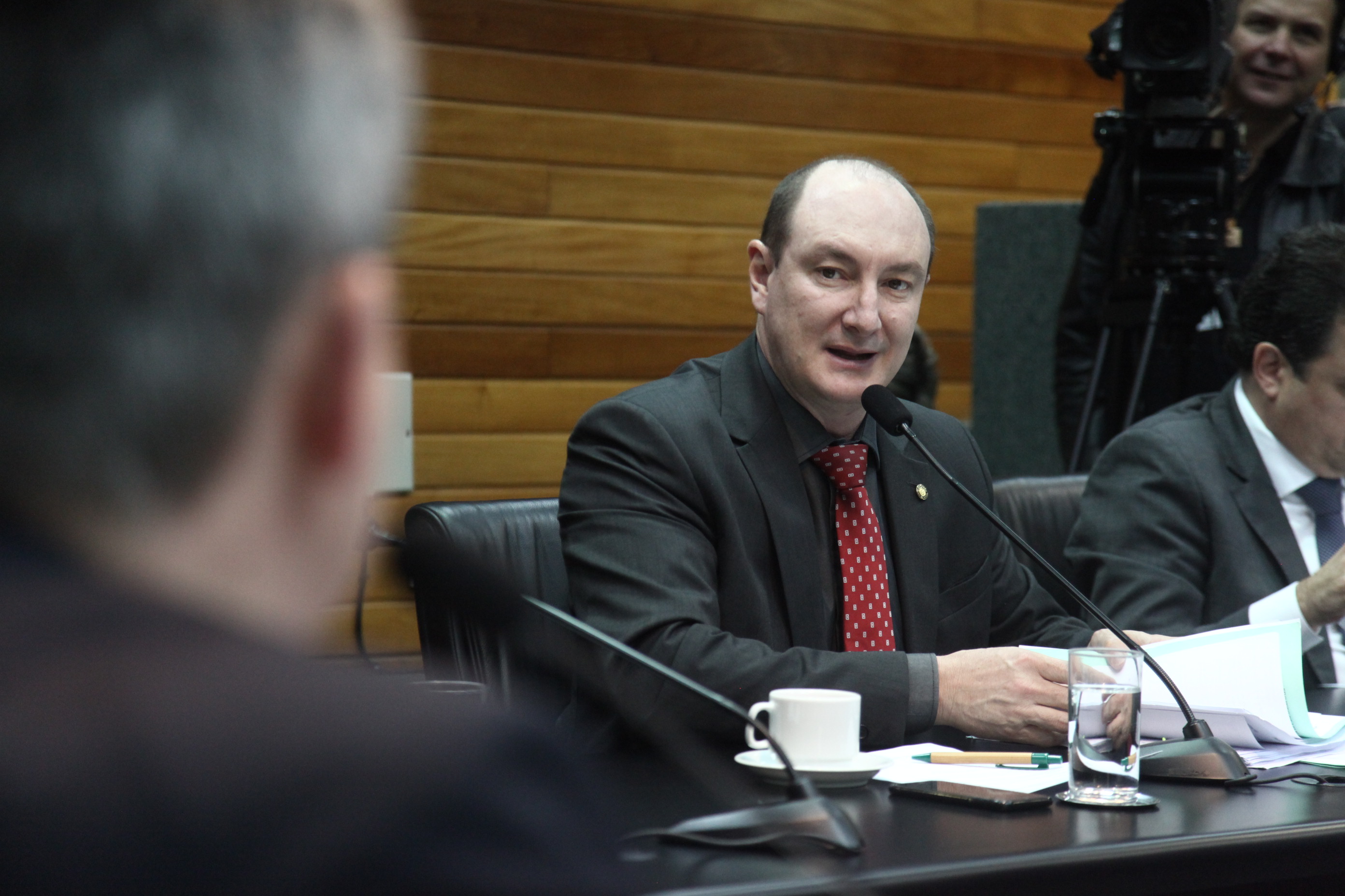 Deputado Mauro de Nadal (MDB)