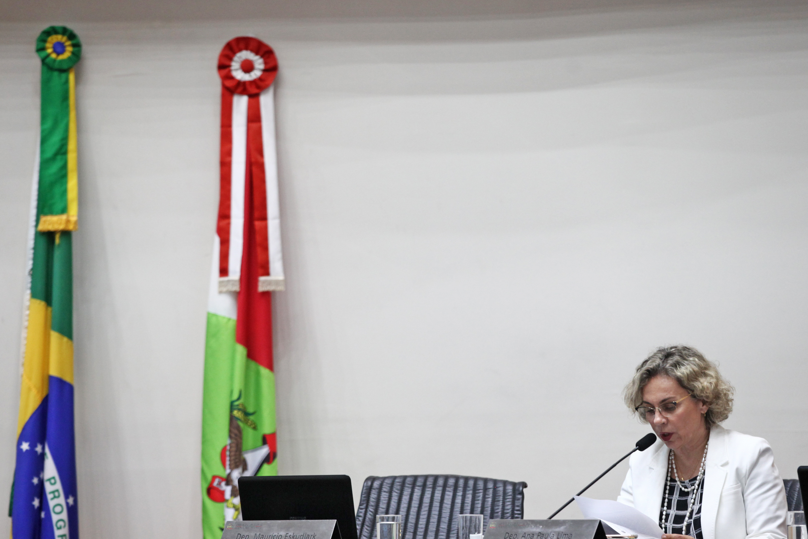 Deputada Ana Paula Lima (PT)