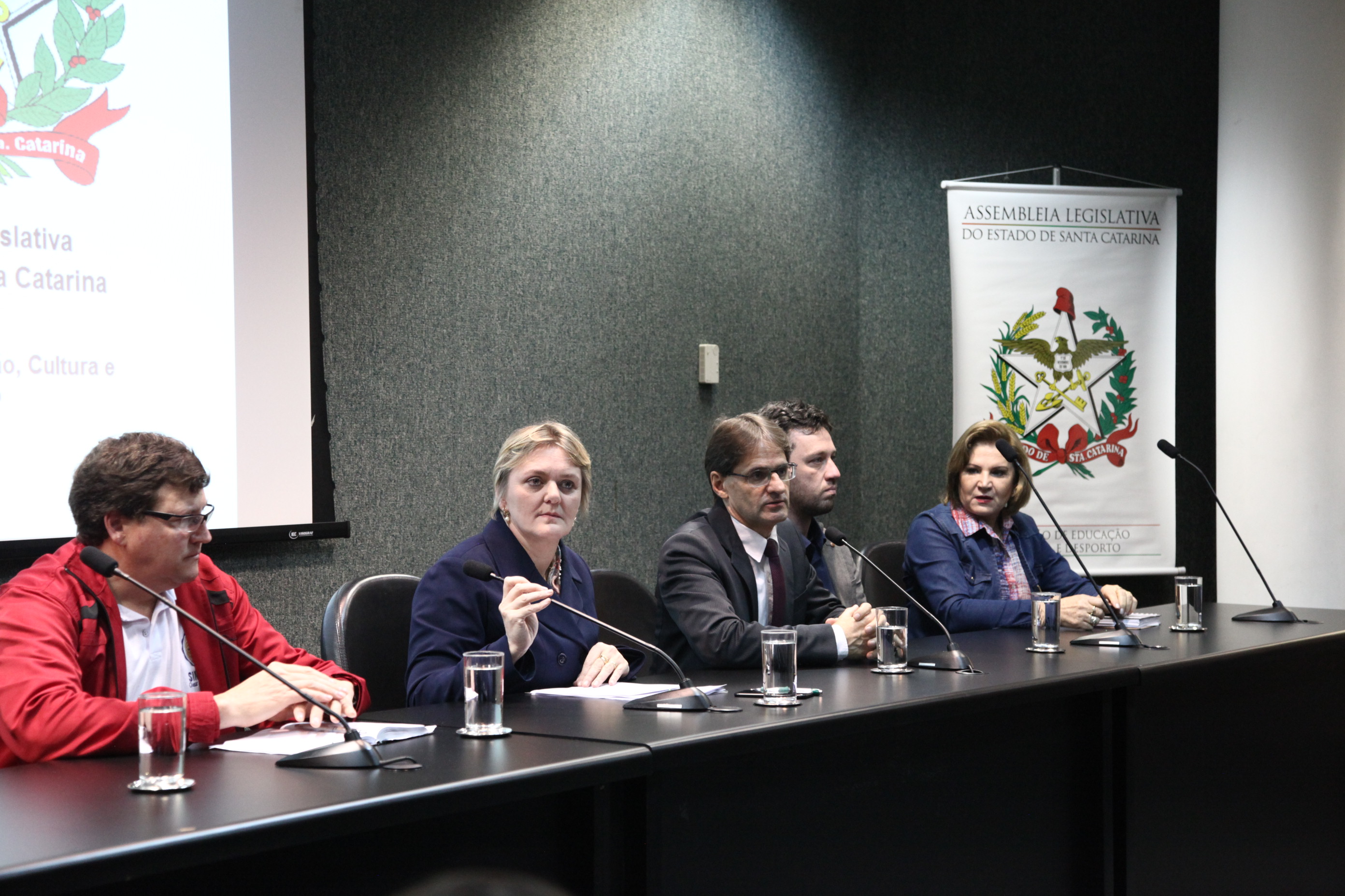 Discussão Relativas á Disciplina de Espanhol na Educação Básica em SC''